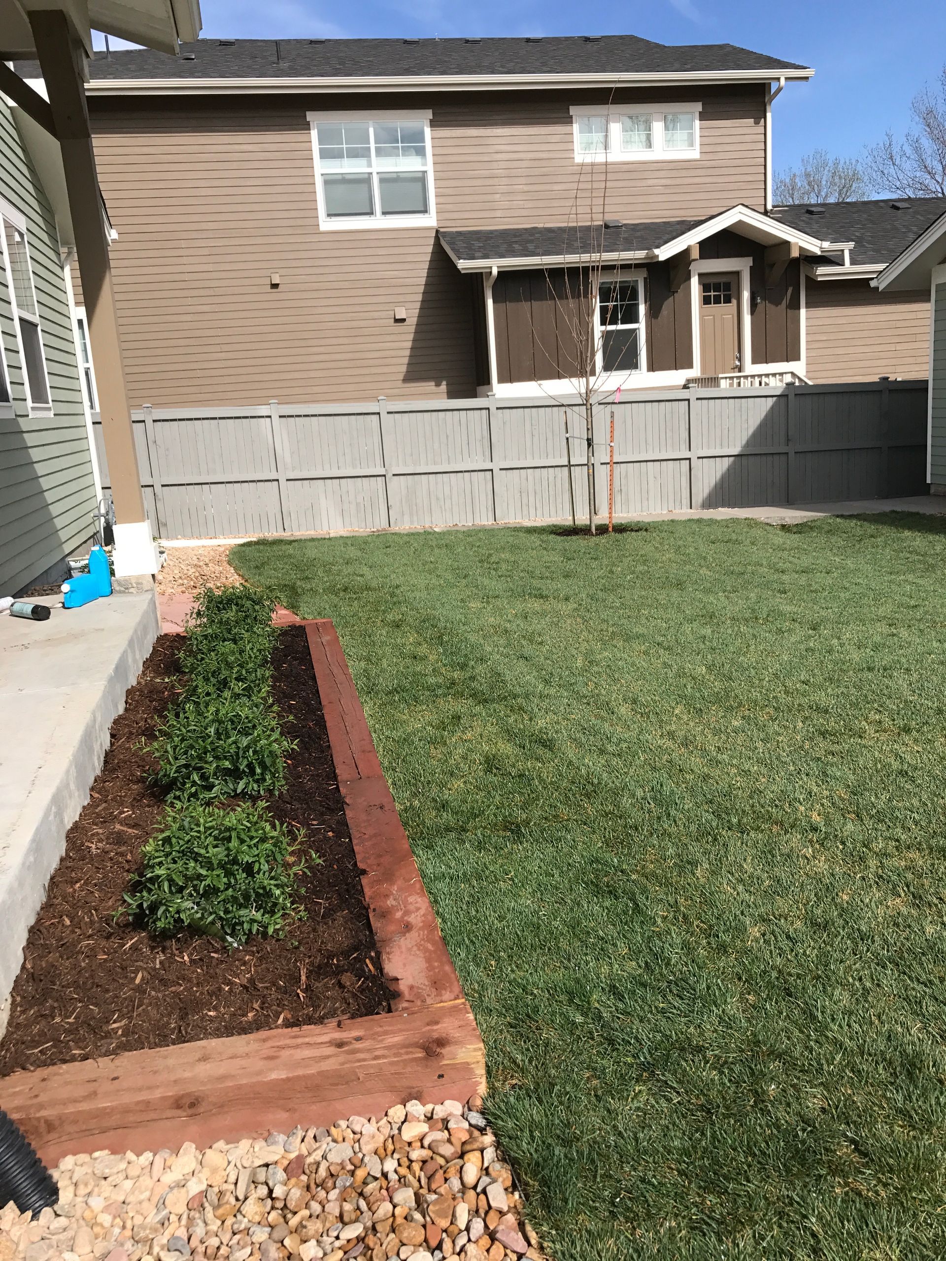 Backyard with green grass, brown mulch, plants, a wooden fence, and houses in the background.
