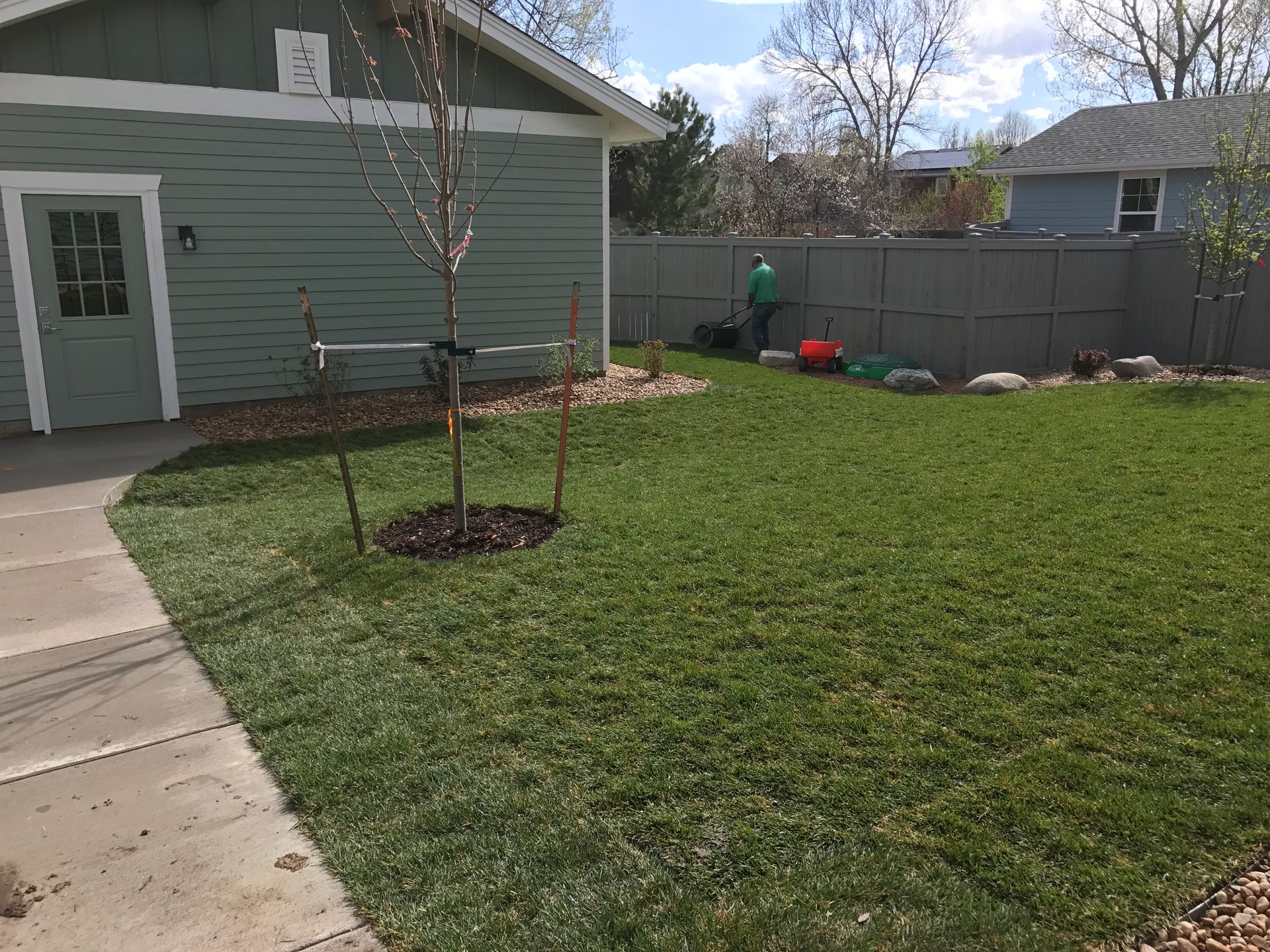Backyard with green grass, small tree, gray fence, and a person mowing the lawn.