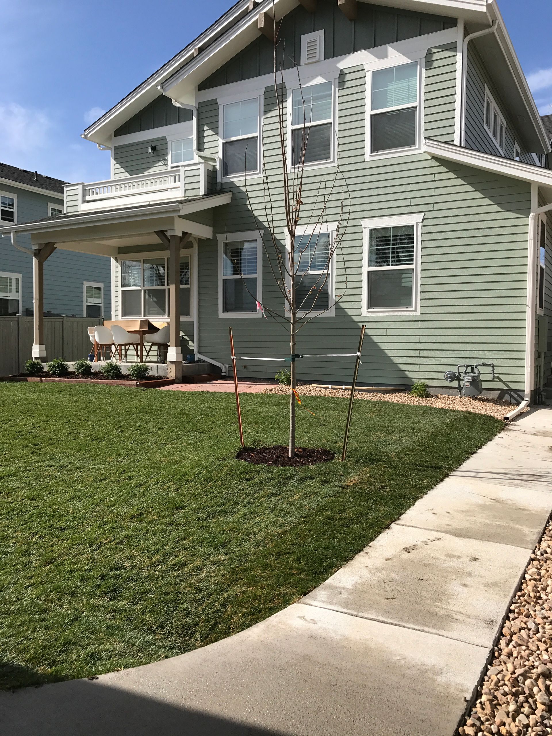 Two-story green house with porch, sidewalk, green lawn, and small tree. Sunny day.