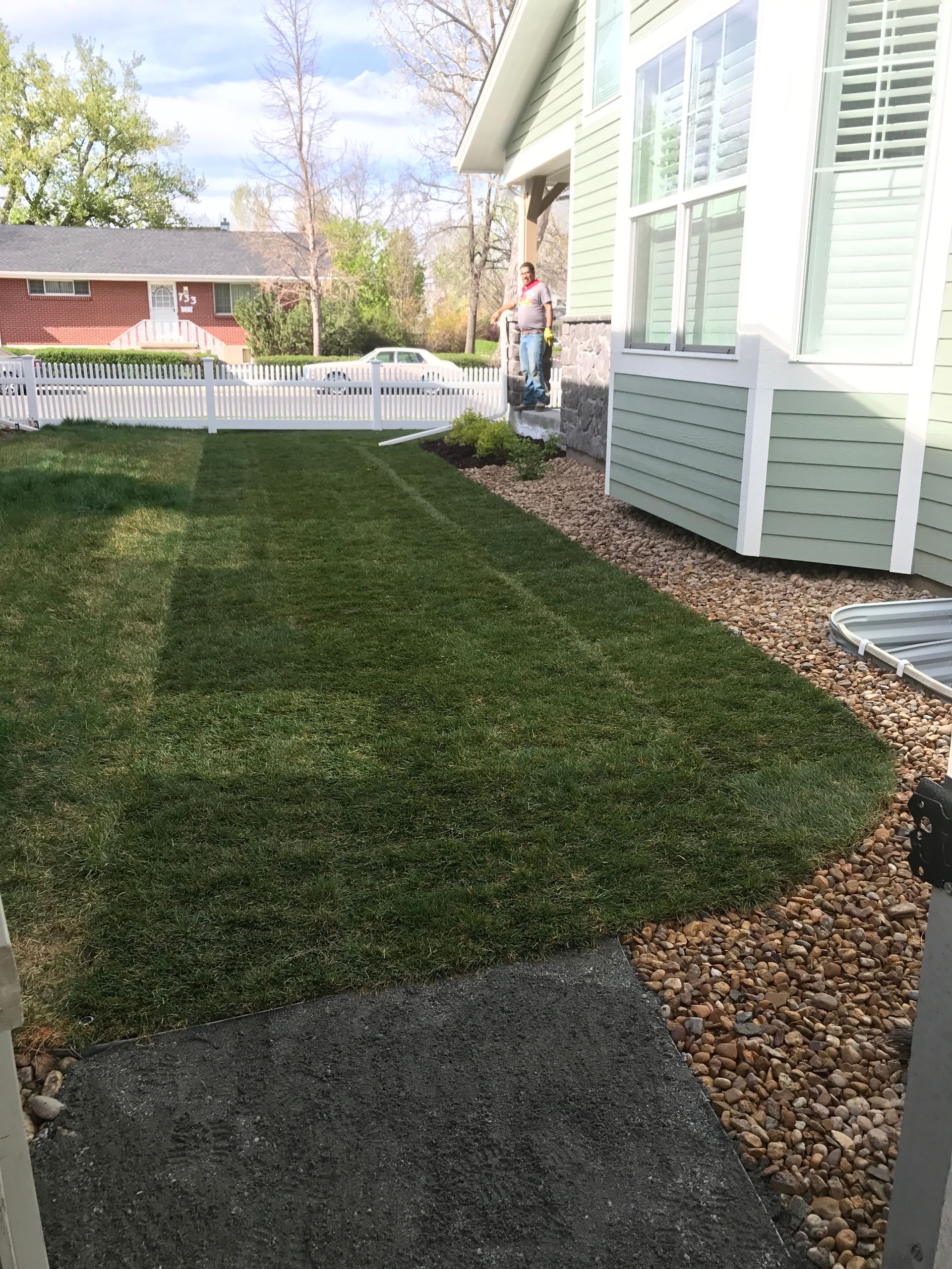 Green lawn with white picket fence, next to a light green house with rock border.