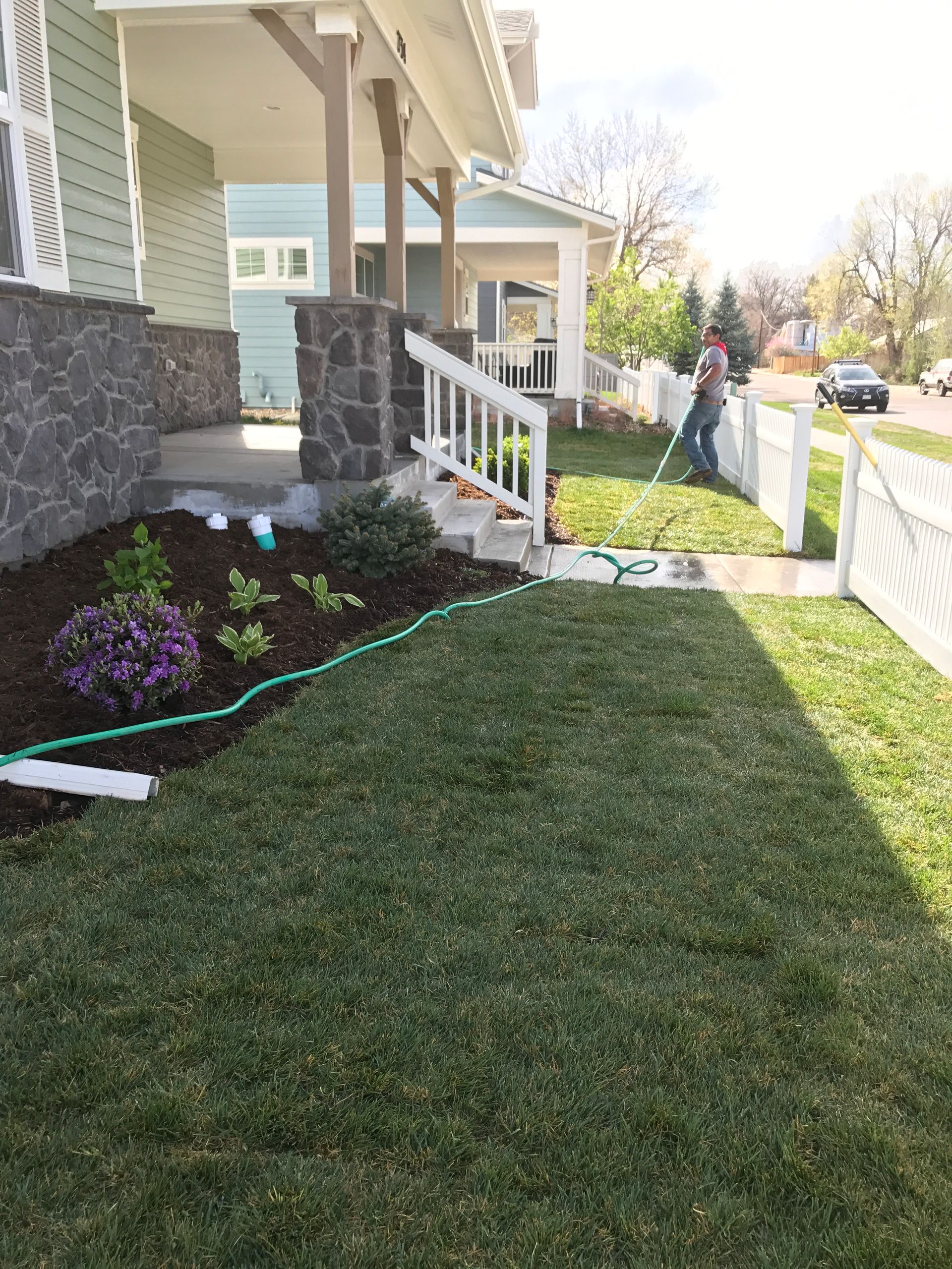 Person watering lawn and garden bed in front of a light blue house. White fence surrounds. Green grass, mulch.
