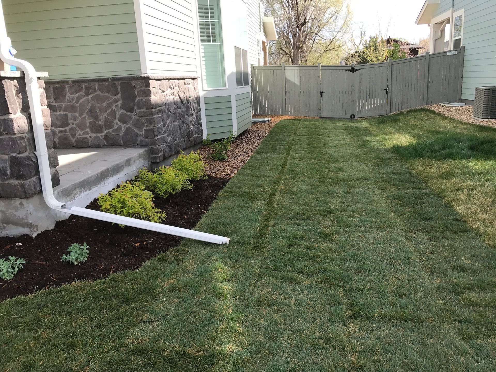 Side yard with fresh green grass, mulch bed with shrubs, and a gray fence.