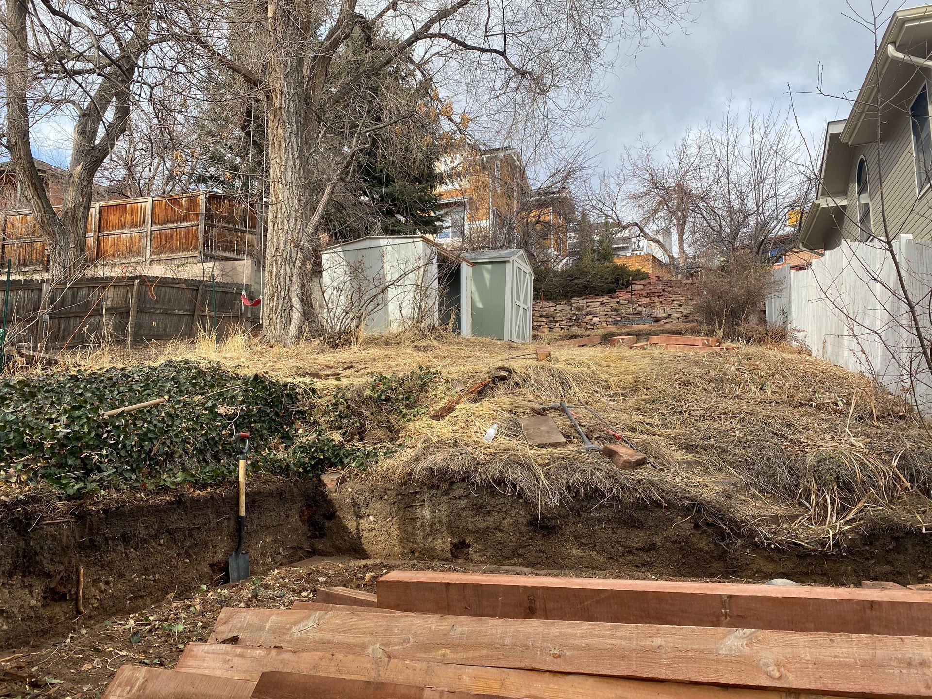 Backyard with dirt hill, steps, sheds, bare trees, overcast sky.