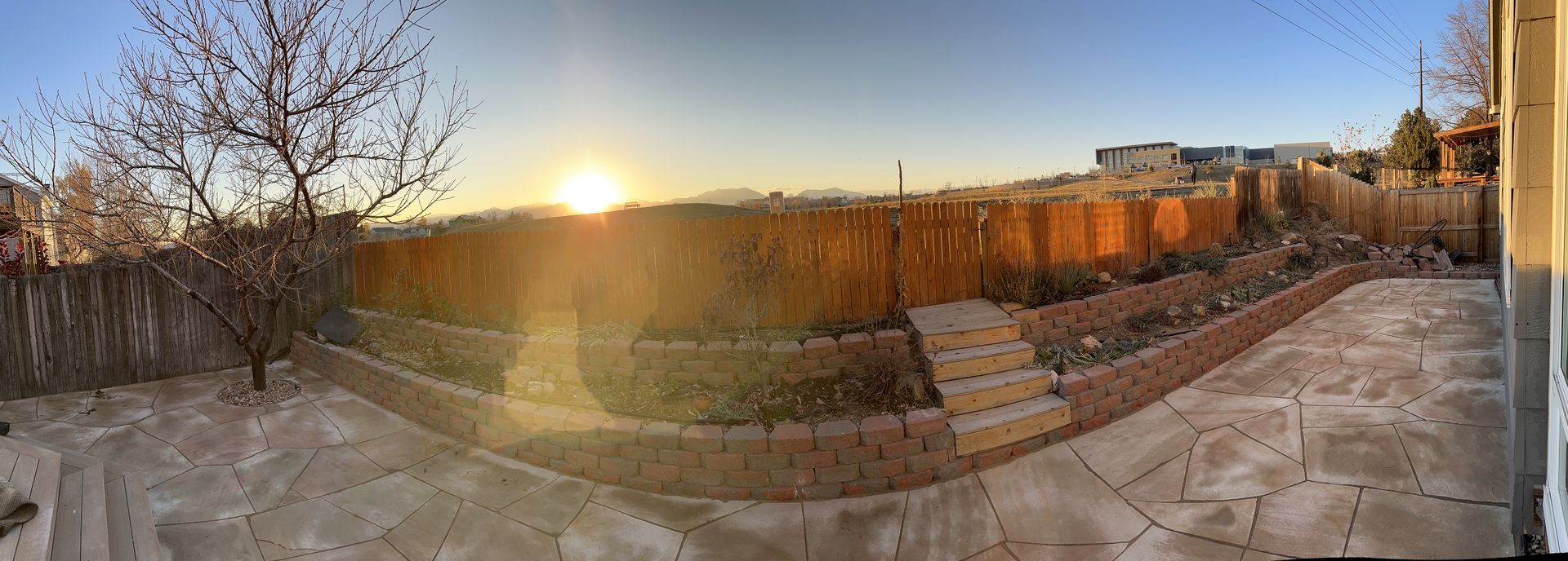 Backyard scene at sunset with a fence, steps, and barren tree.