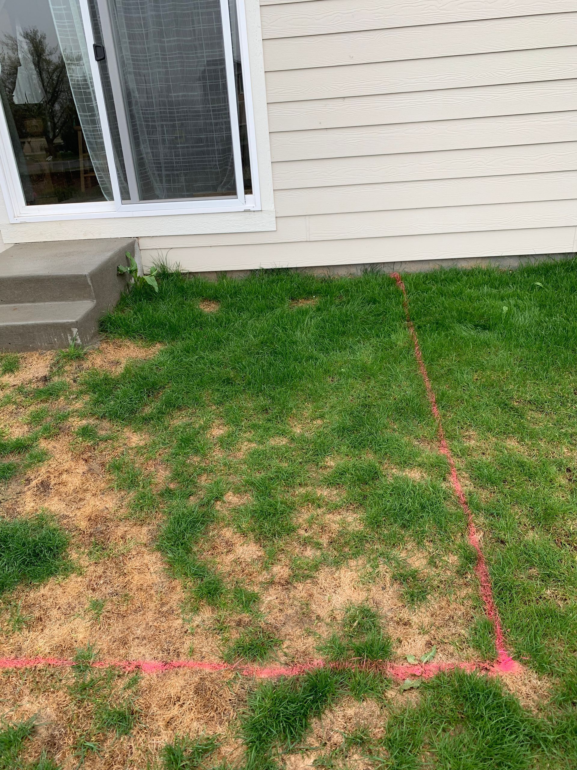 Lawn with red lines marking a boundary, next to a house with a door, steps, and beige siding.