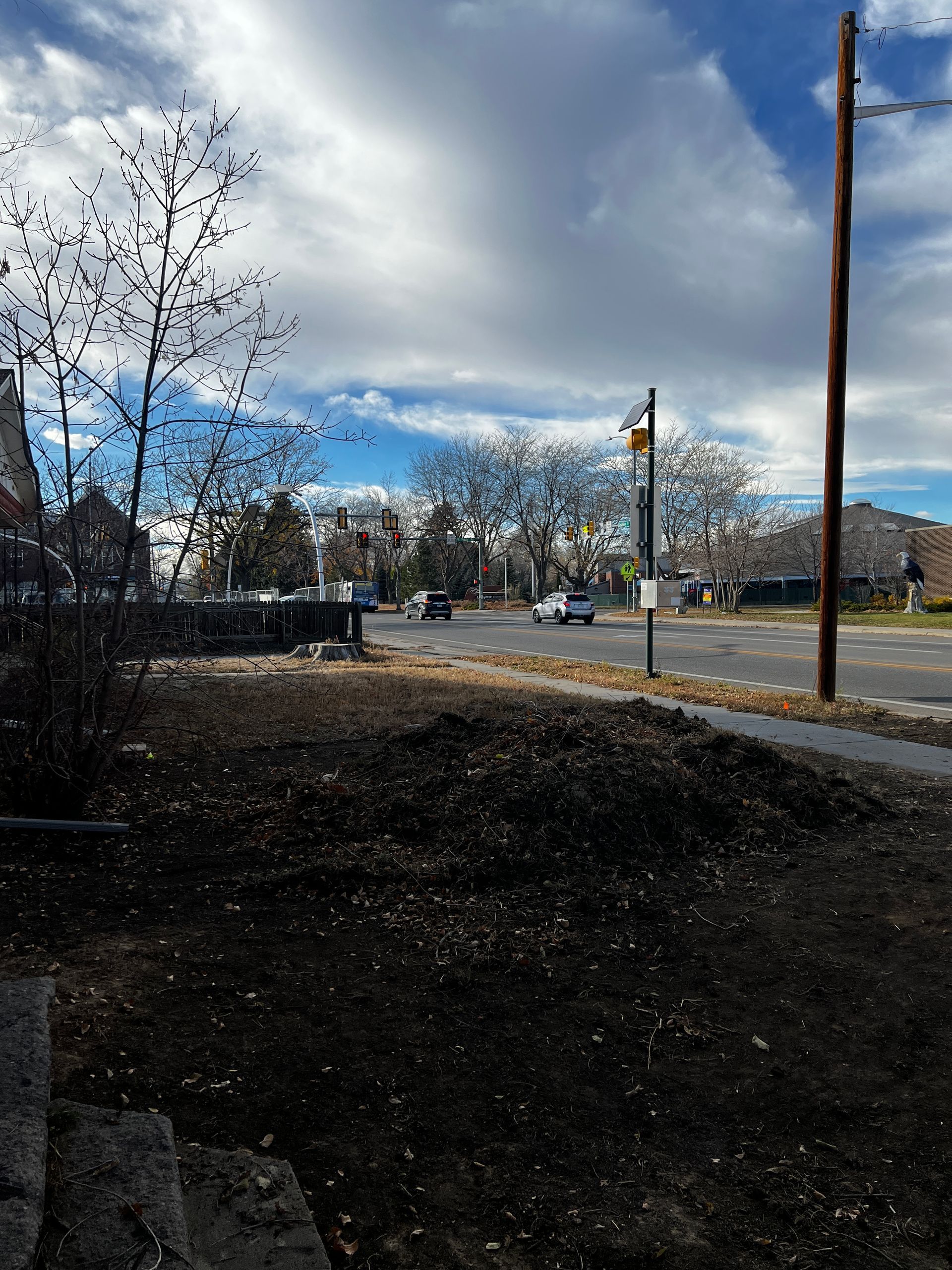 Street scene with a cloudy sky, bare trees, and a car driving by.