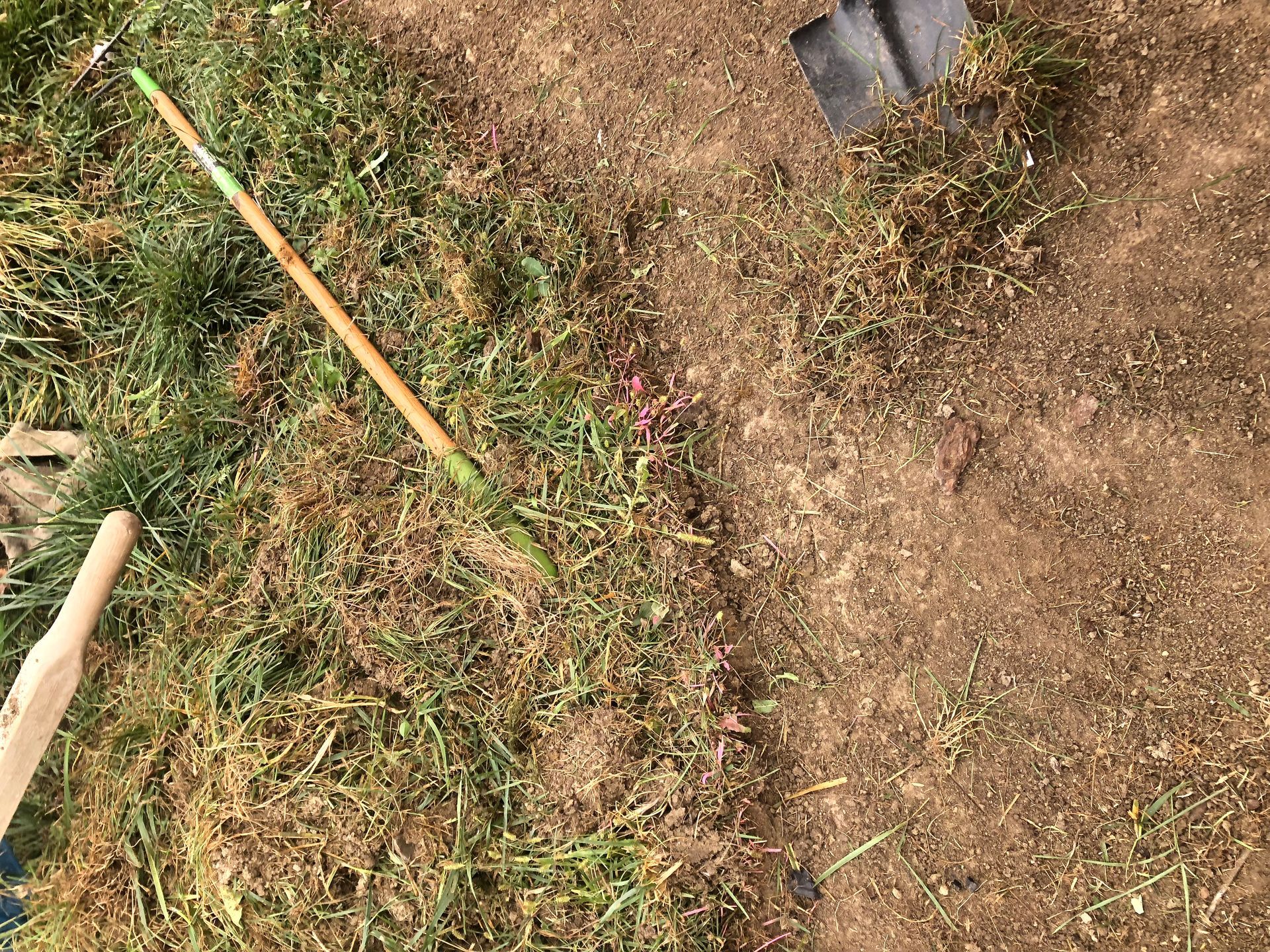 Grass and bare earth meet, with garden tools (rake, shovel) present.