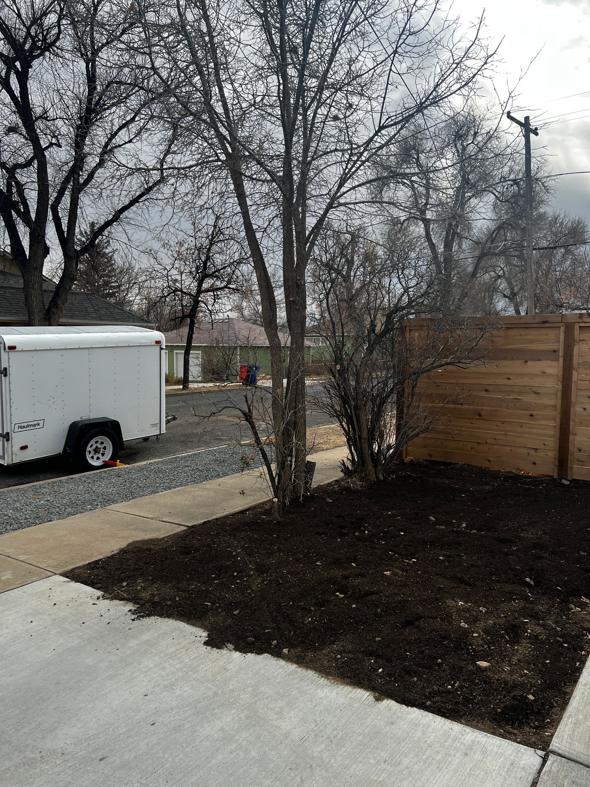 Mulched landscaping with a tree and bushes, next to a wooden fence and a trailer.