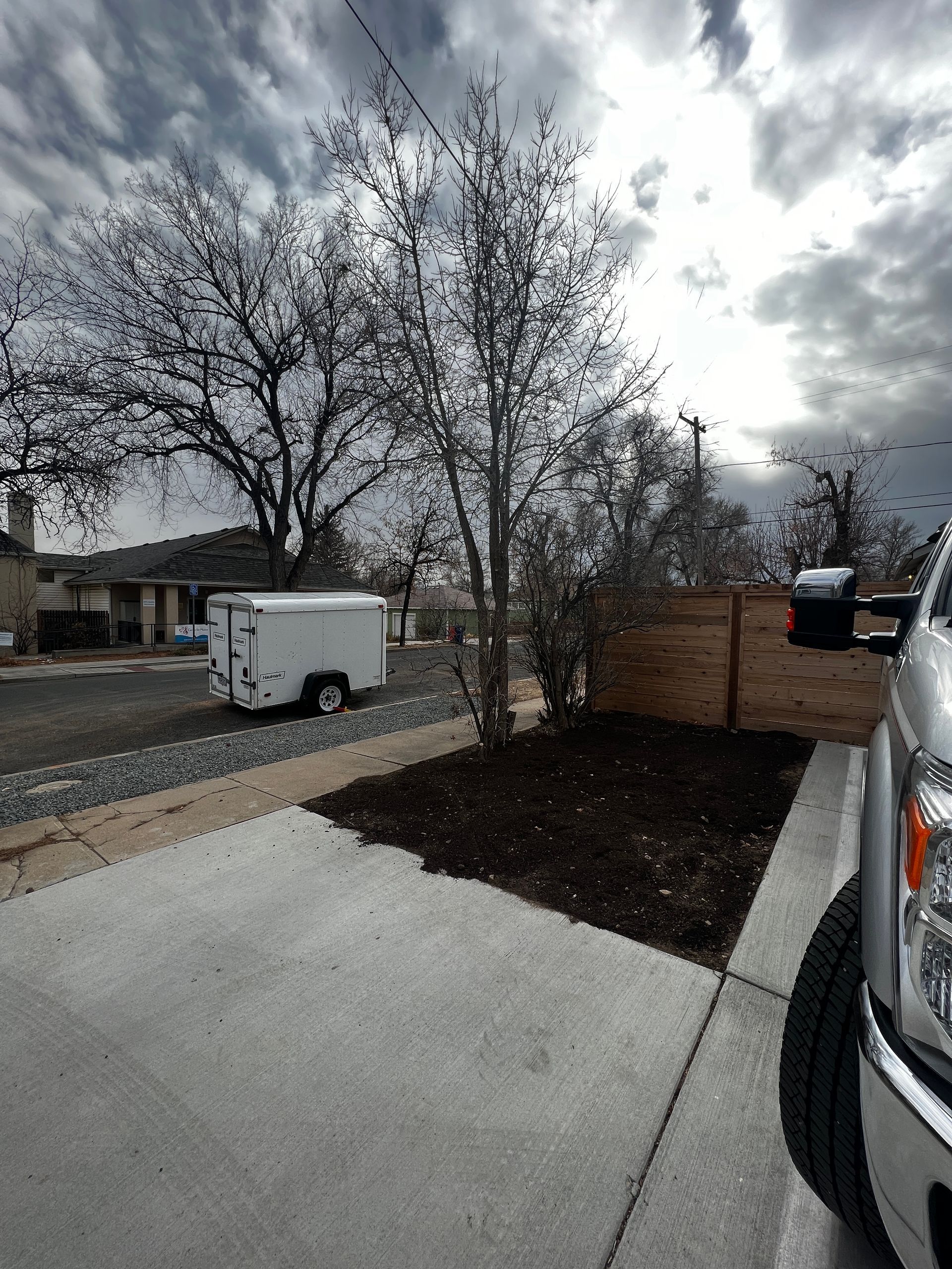 Bare tree in a mulched bed next to a concrete driveway, with a van and truck visible on an overcast day.