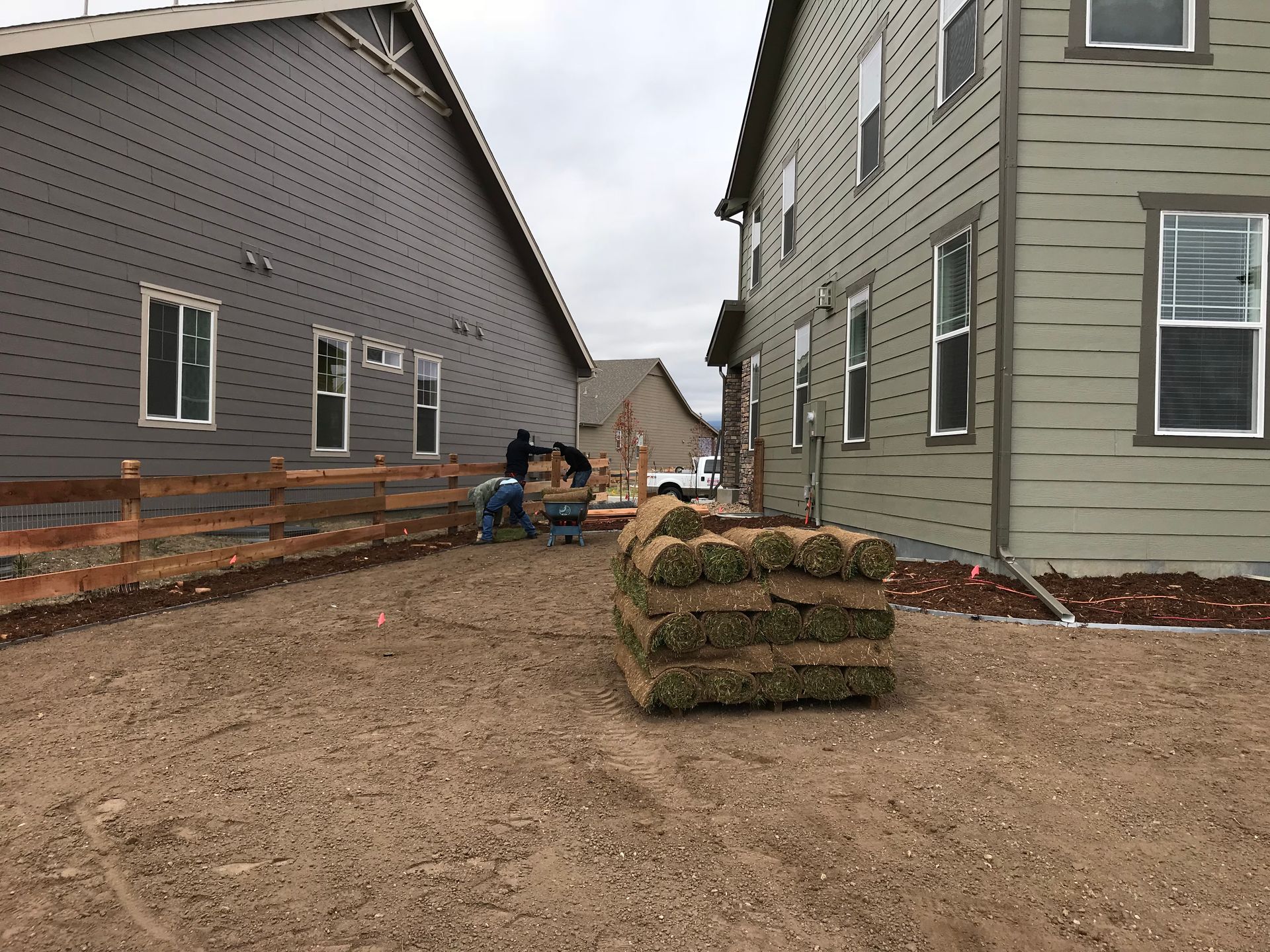 Construction workers laying sod between two-story houses. Sod bundles are in foreground.