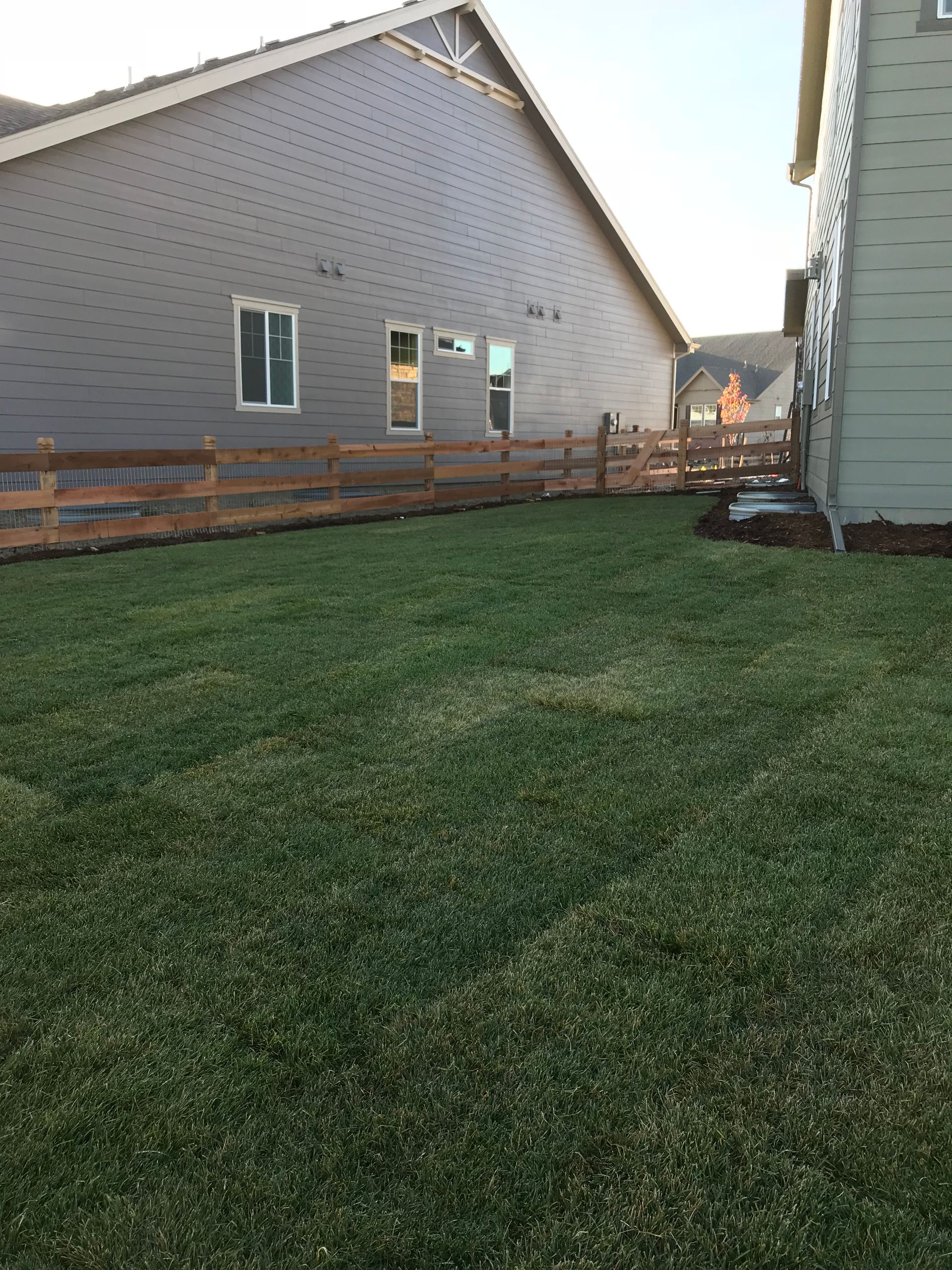 Lush green lawn bordered by a wooden fence, with two houses in the background.