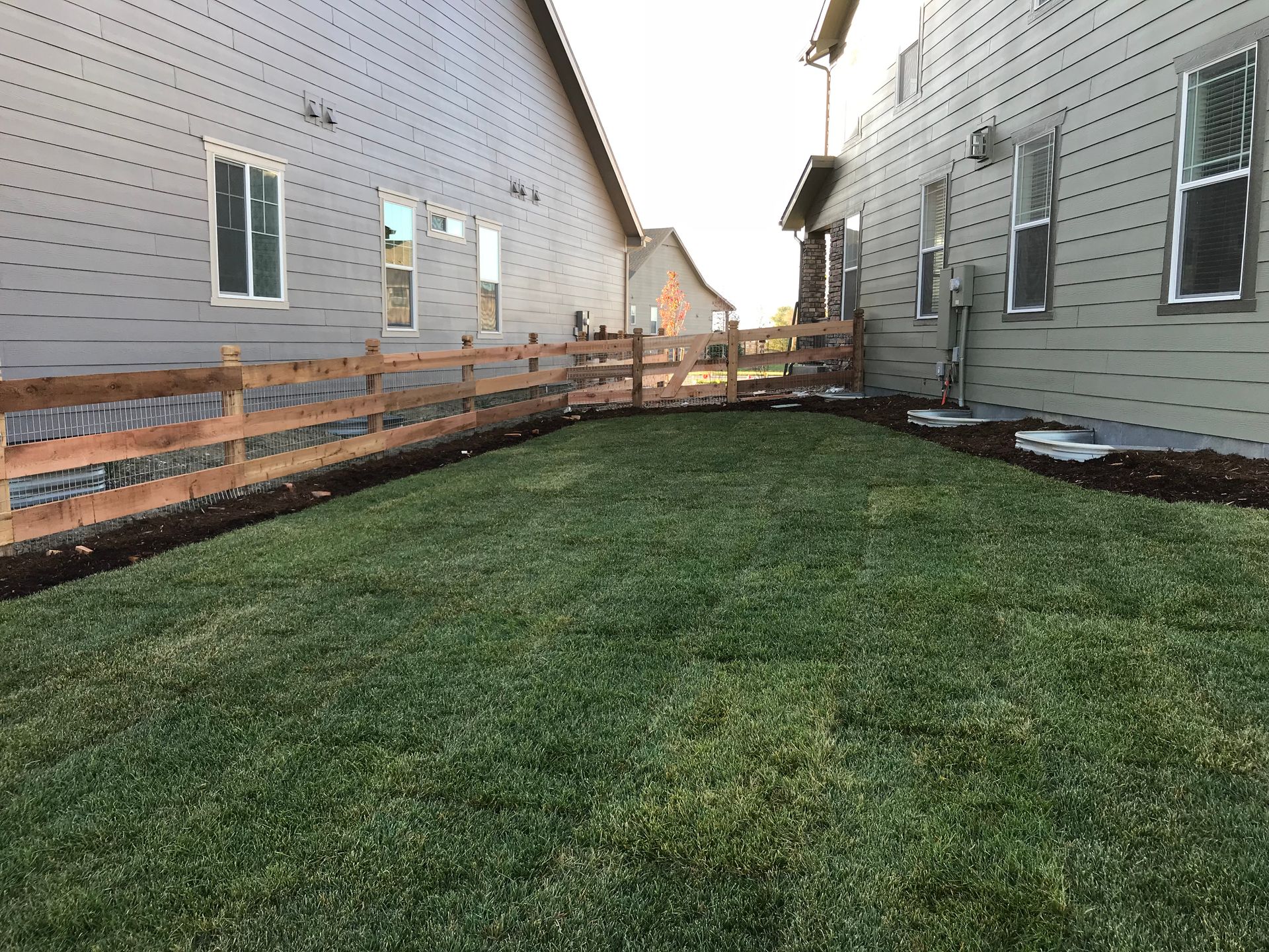 Lush green lawn between two gray houses, enclosed by a wooden fence.