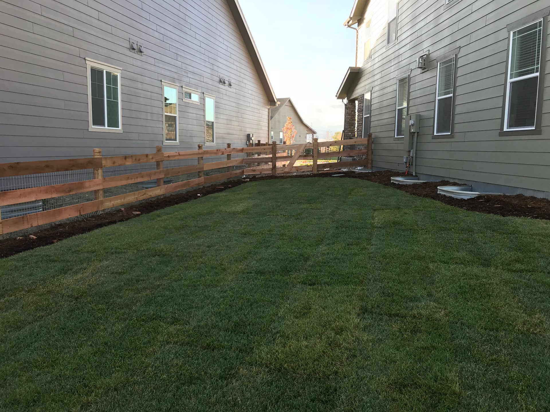 Green lawn in a backyard between two gray houses, wooden fence at back.