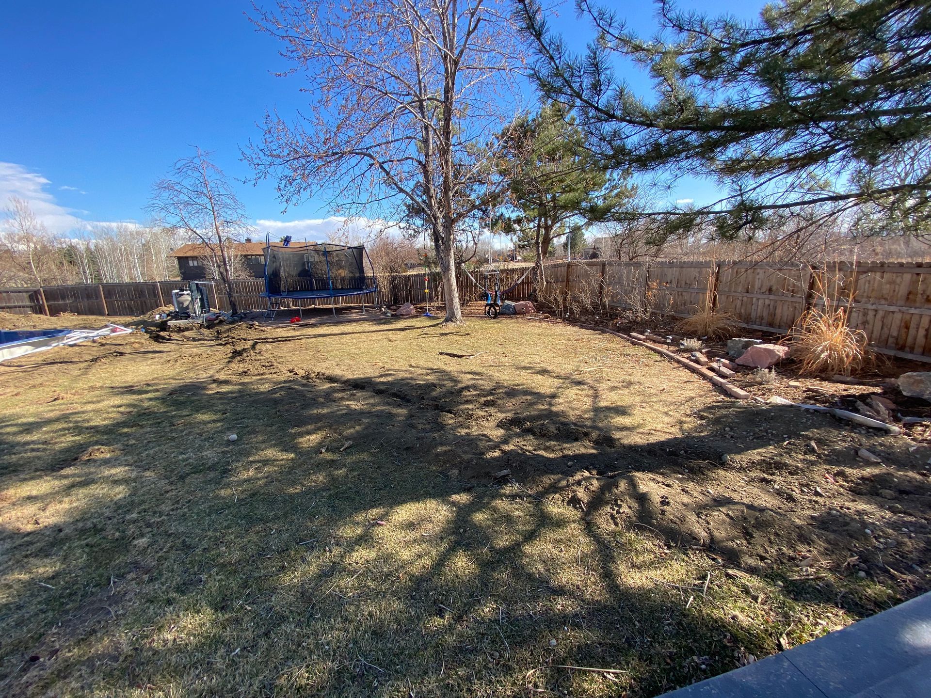 Backyard with bare tree casting a shadow on patchy grass; wooden fence, blue sky.