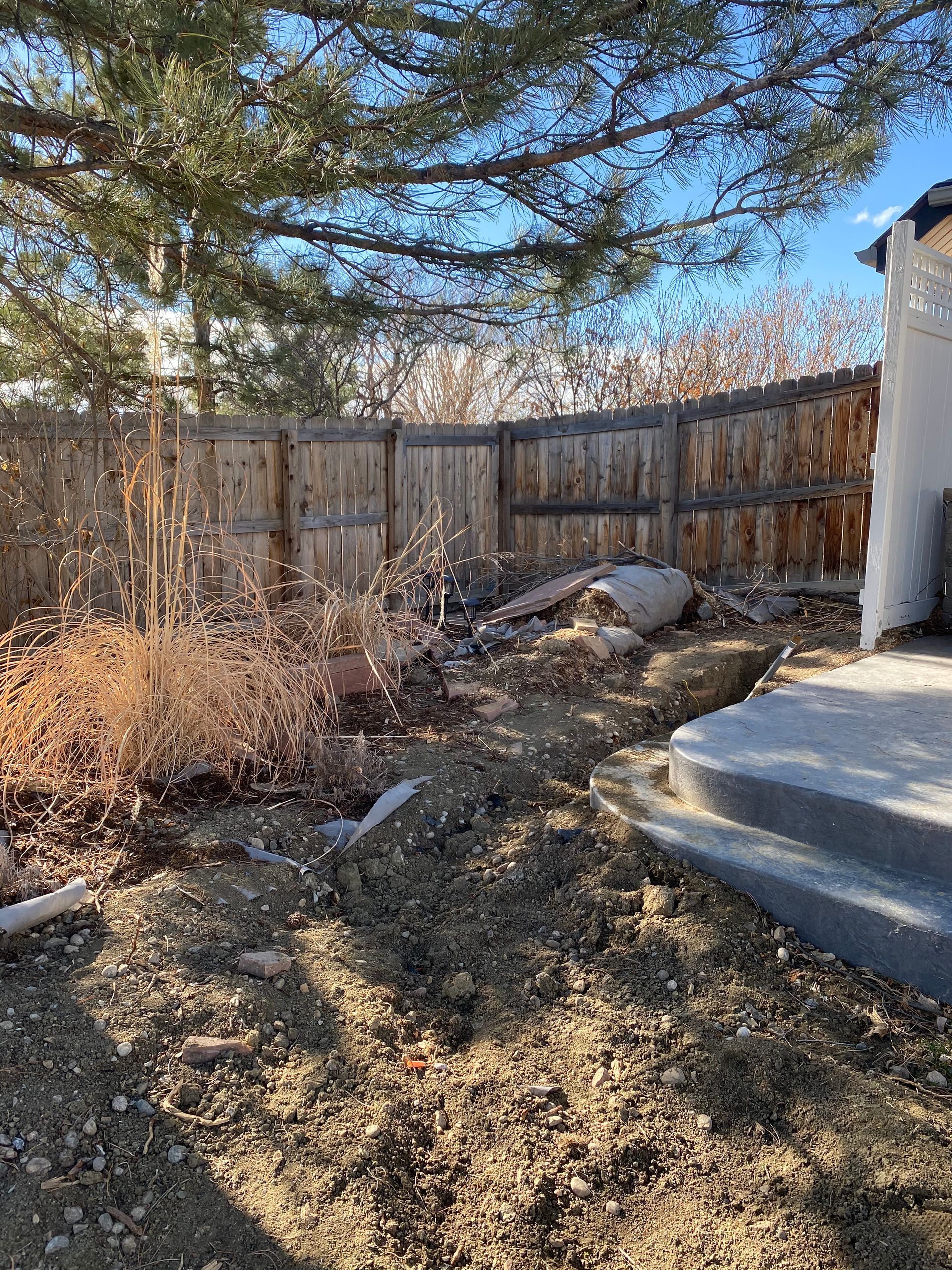 A backyard scene with a wooden fence, dirt, concrete steps, and dead plants.
