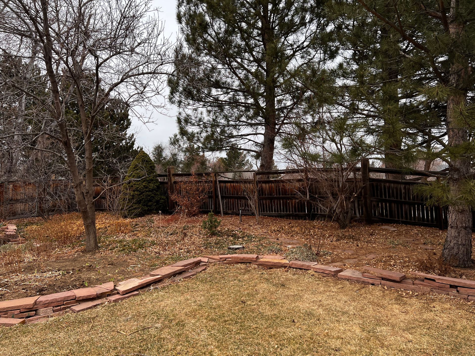 A backyard with brown grass, trees, and a wooden fence, under an overcast sky.