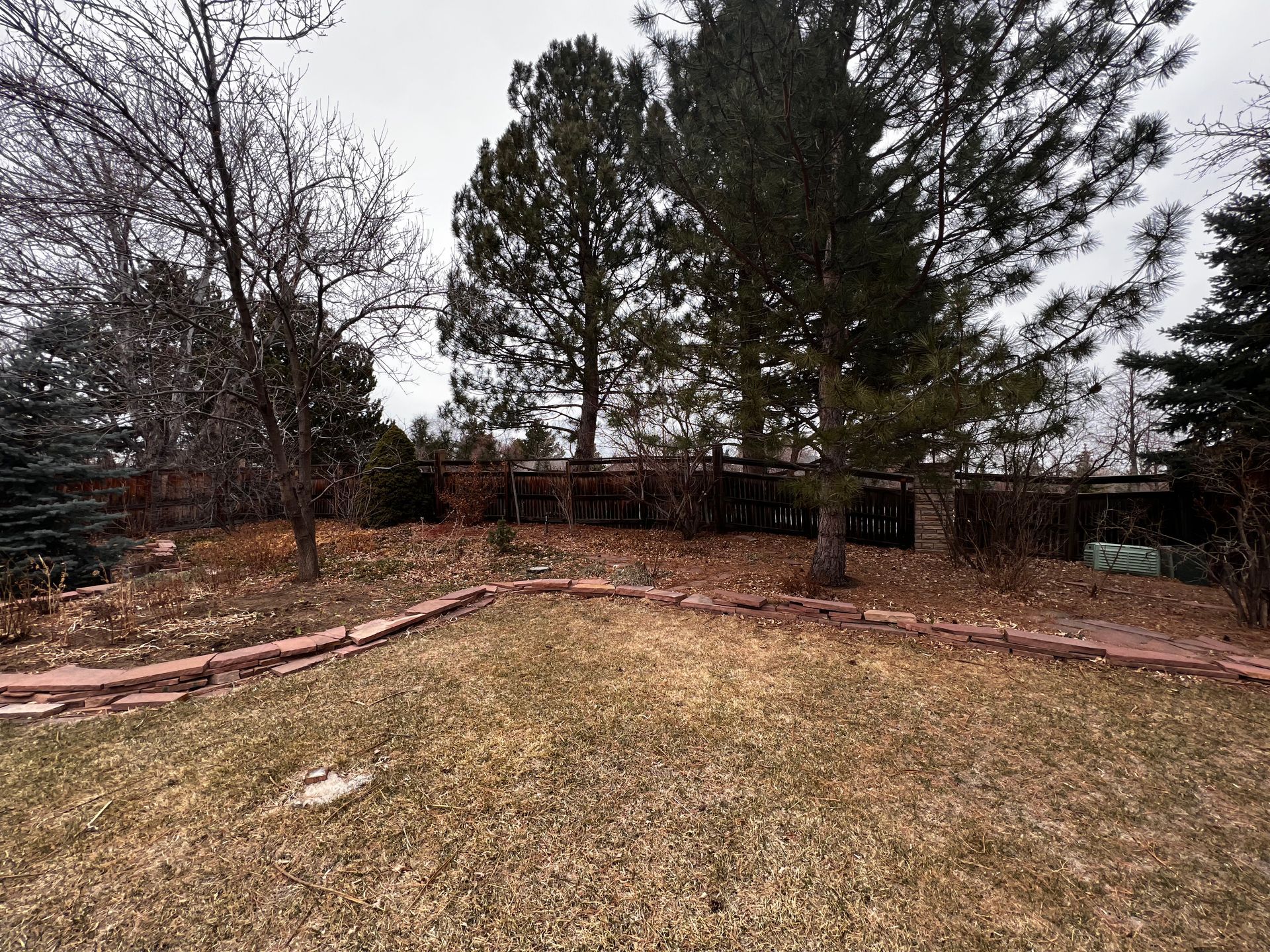 A backyard with brown grass, trees, and a low red brick border.