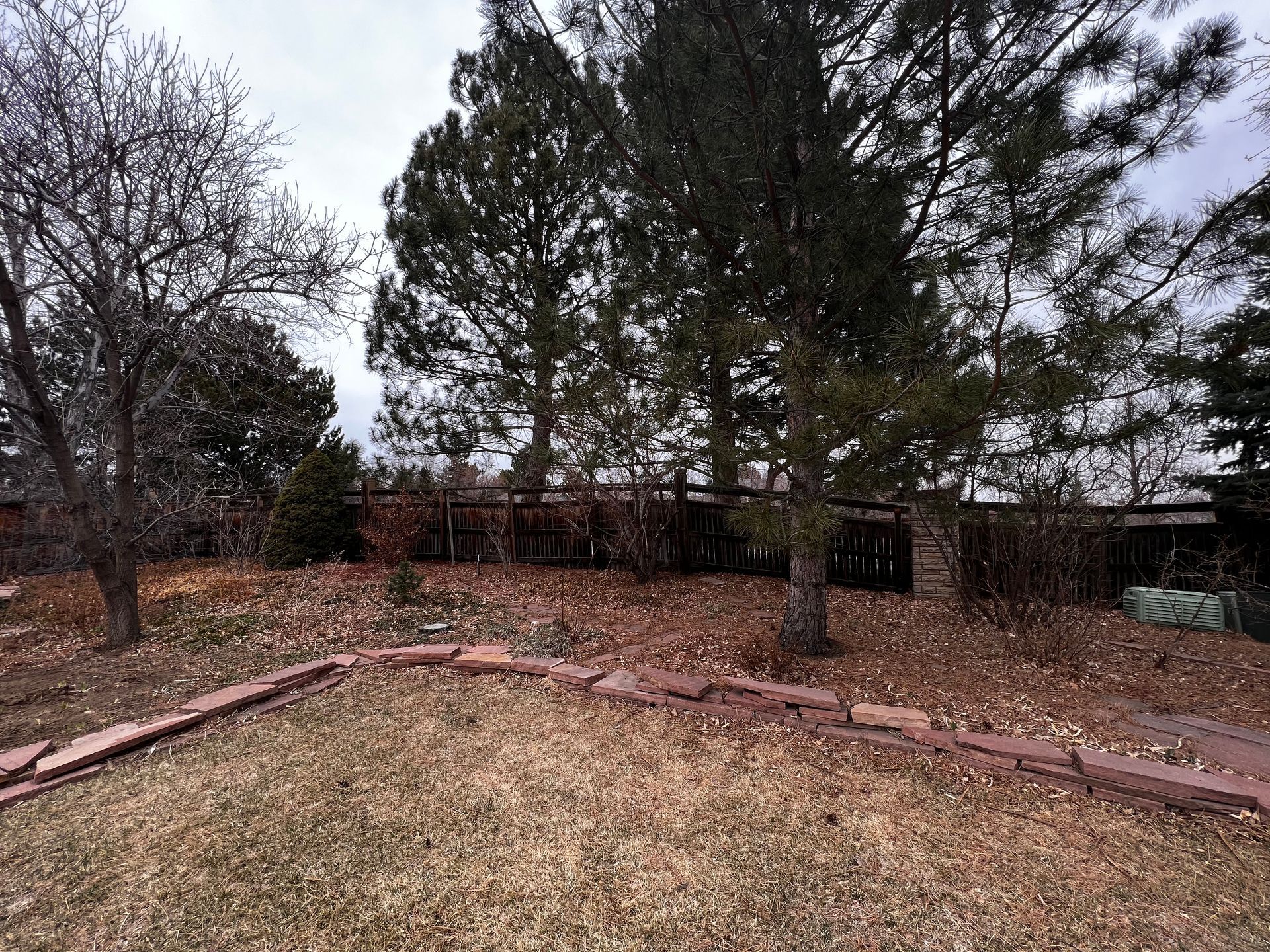 A backyard with trees, a brick border, and dry grass under an overcast sky.