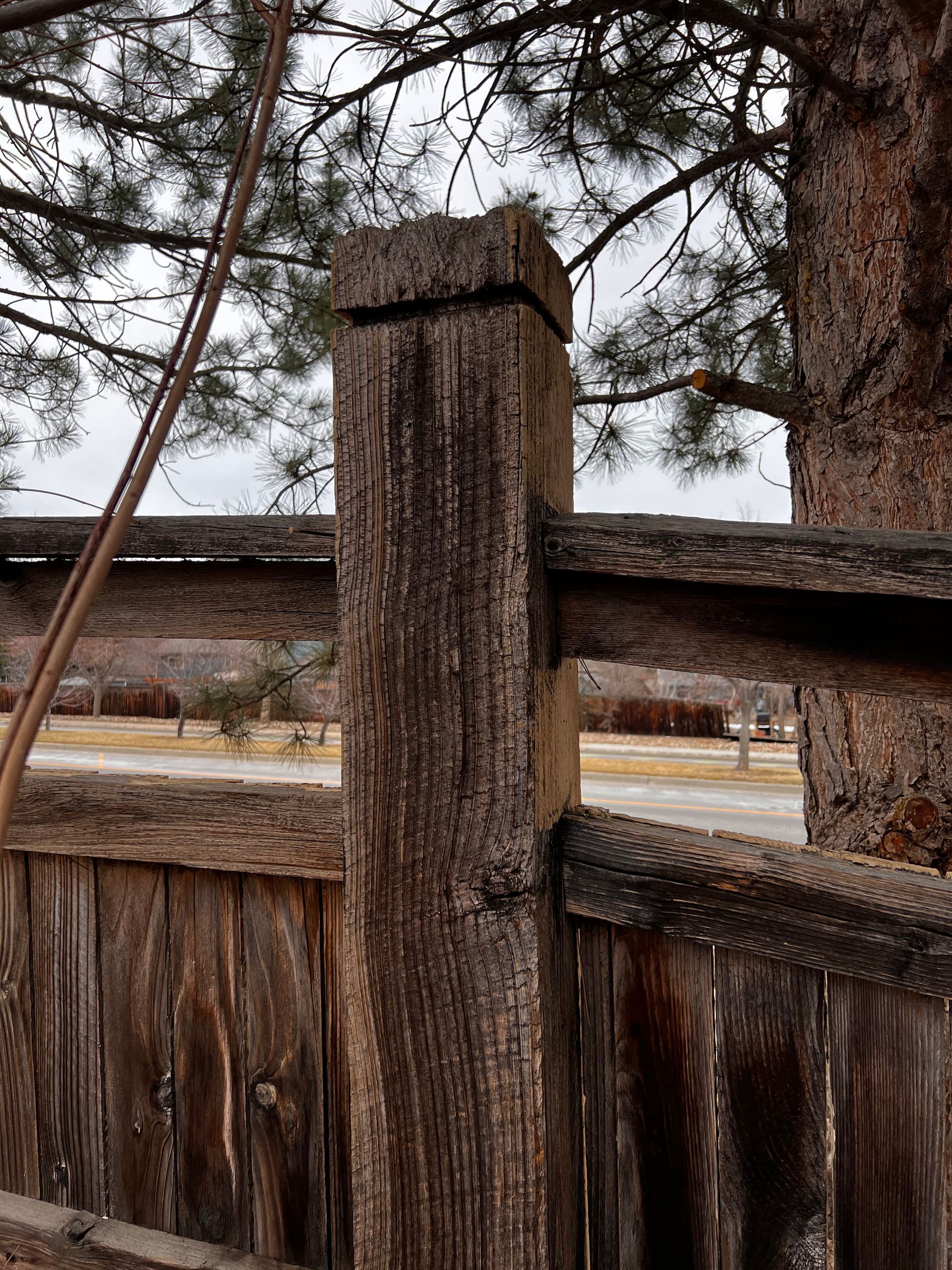 Wooden fence post and rail in a weathered, dark wood fence.