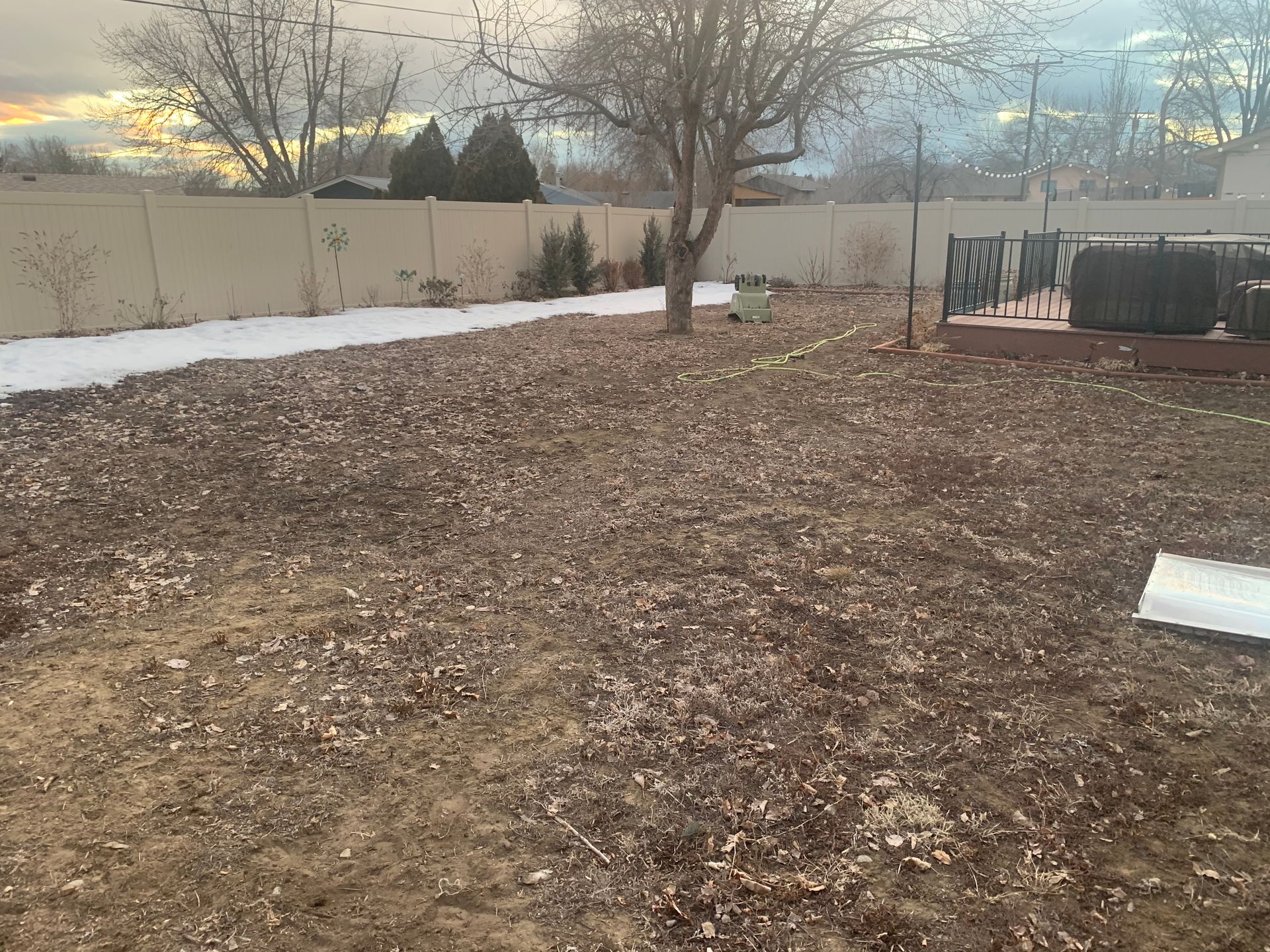 Yard covered in brown leaves and snow, with a tree, fence, and a deck in the background.