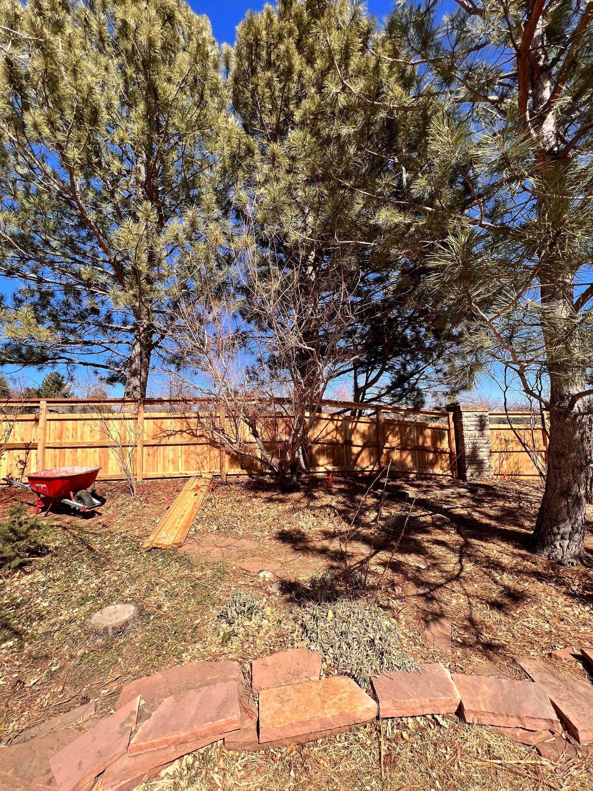 Backyard with trees, a wooden fence, and red brick edging under a blue sky.