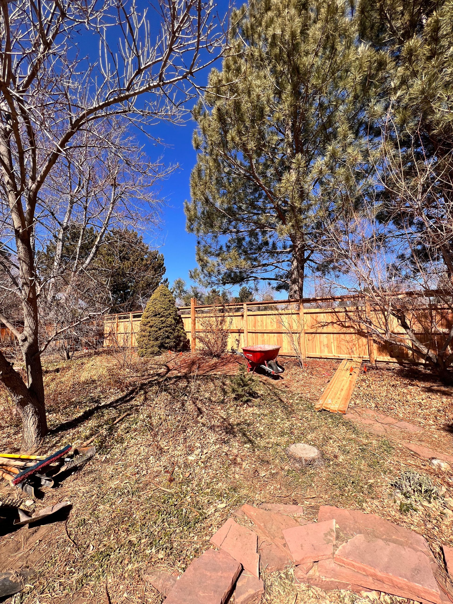 Backyard scene: a wooden fence, trees, and brown grass under a blue sky, with a red wheelbarrow.