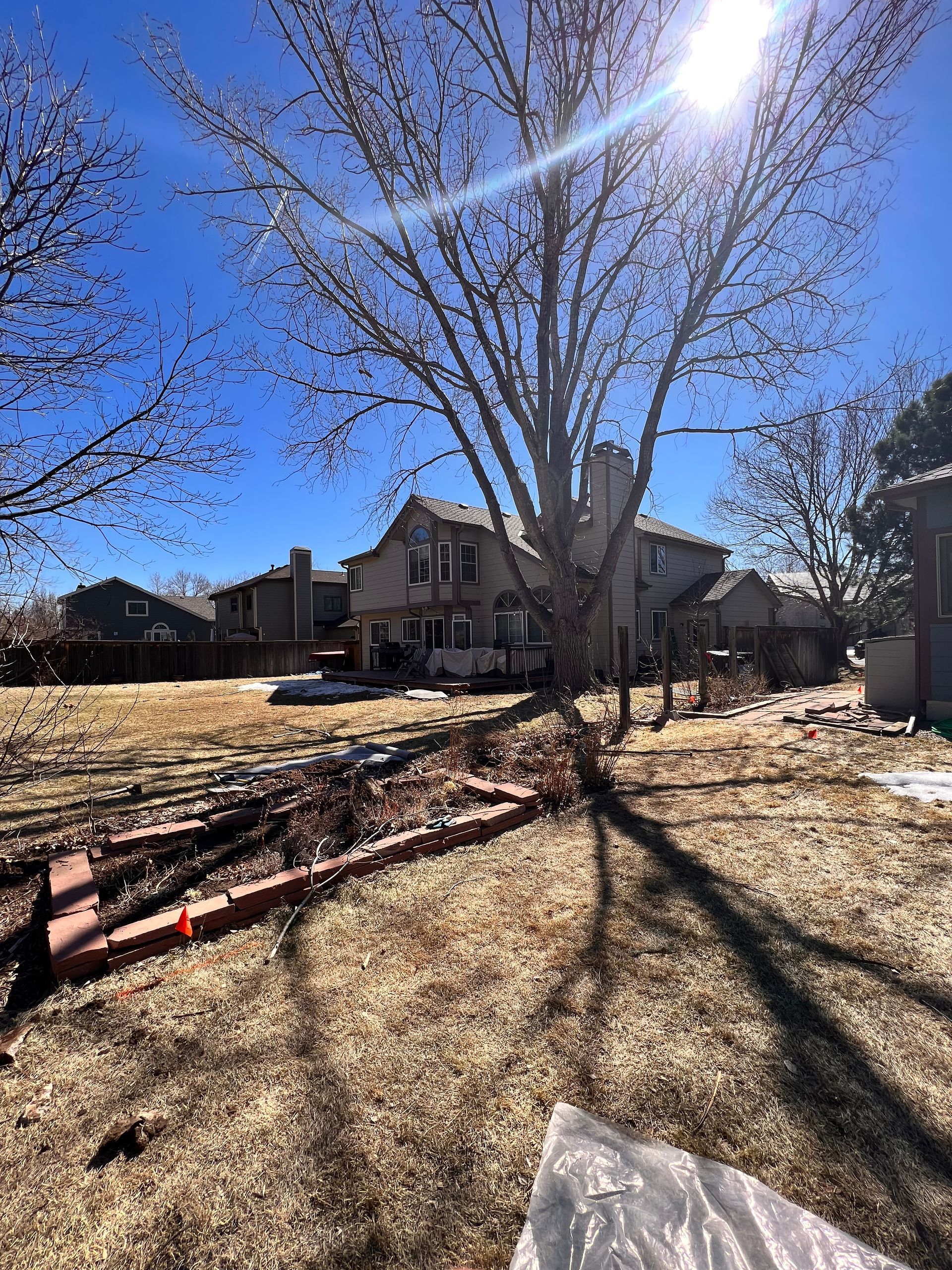 Backyard with house and tree on a sunny day. Brown grass, clear blue sky, and long shadows.