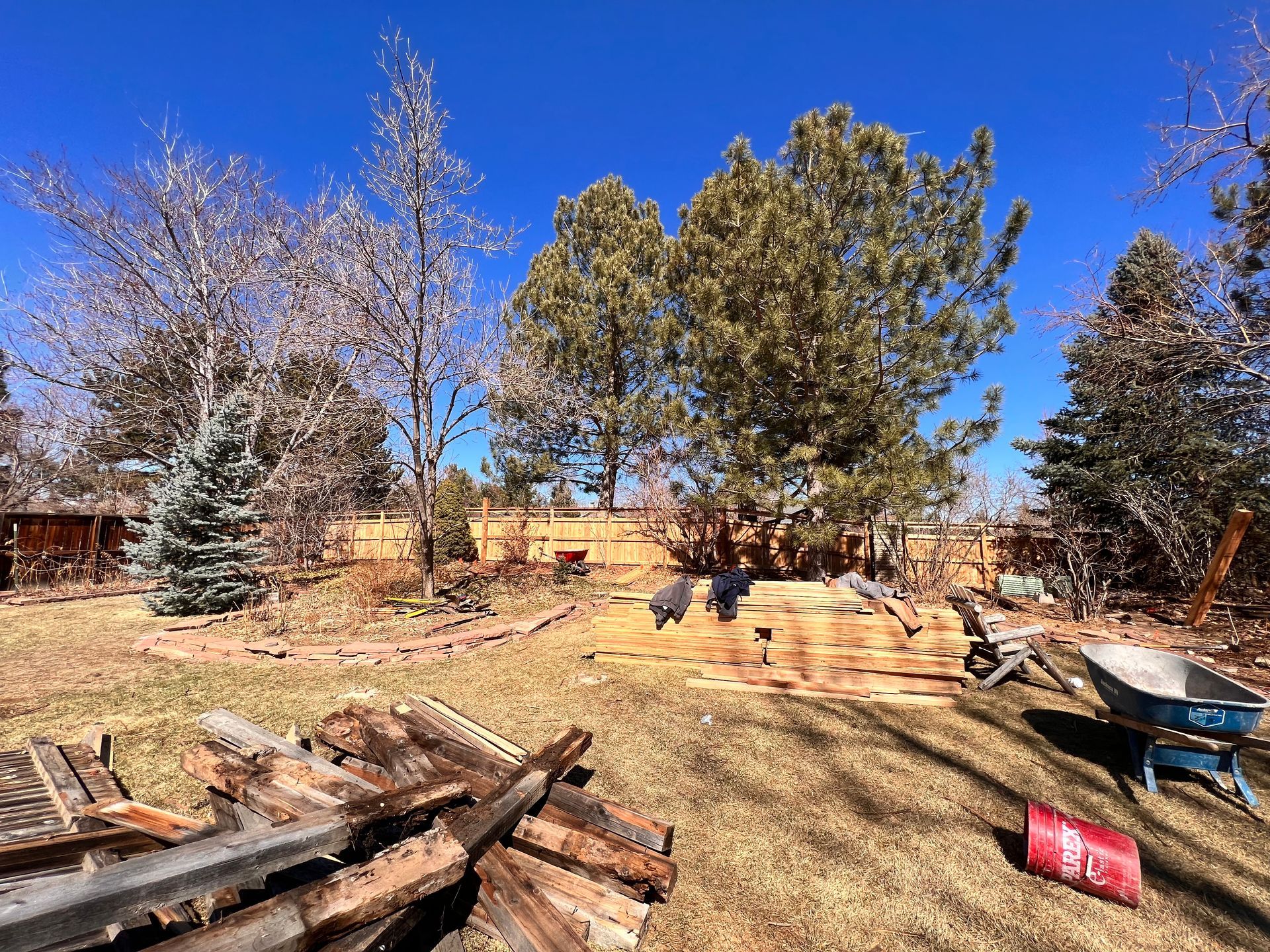 Backyard with logs, trees, and construction debris under a clear blue sky.