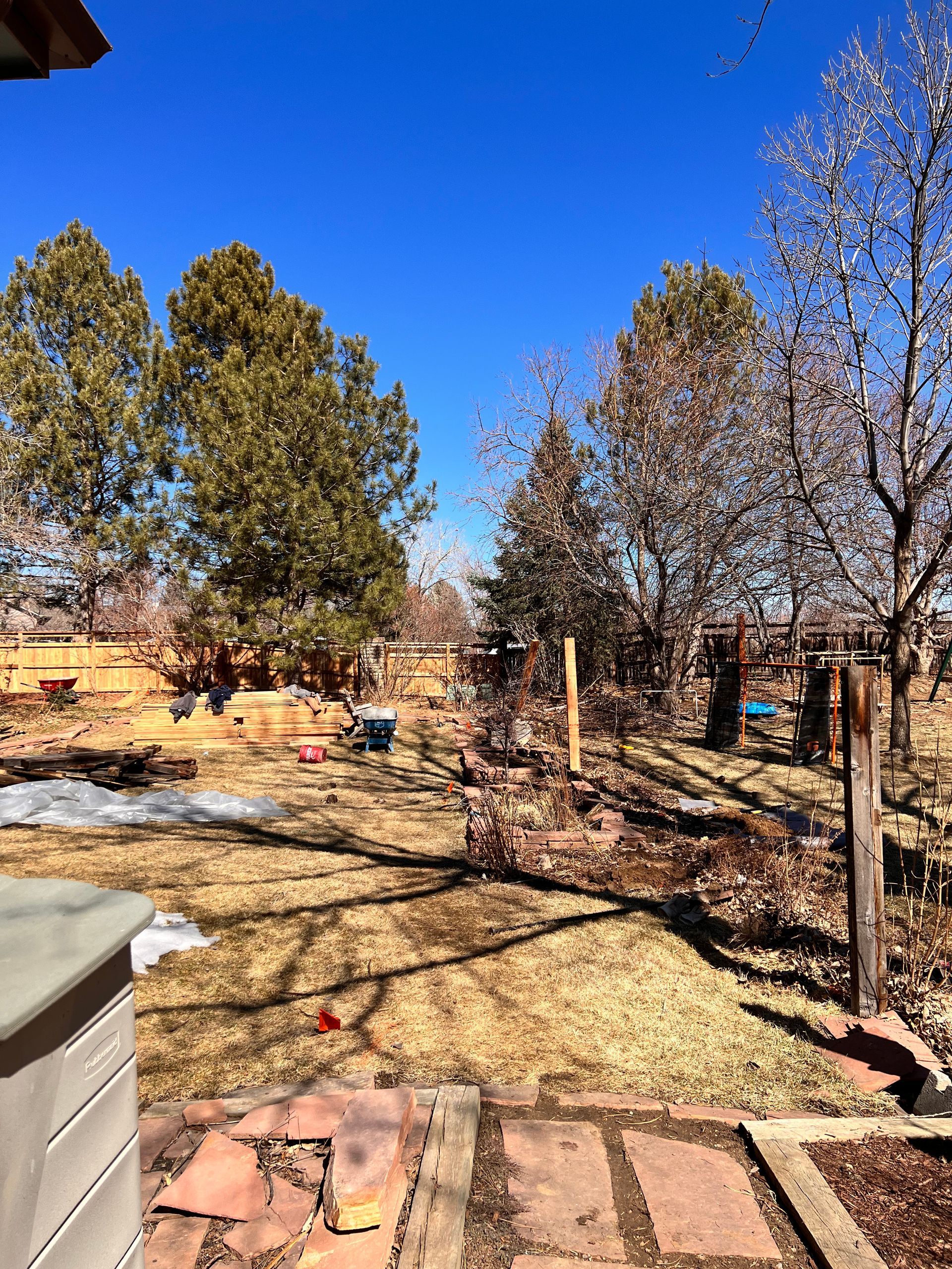 Backyard with trees, brown grass, and blue sky. A fence and snow patches are visible.