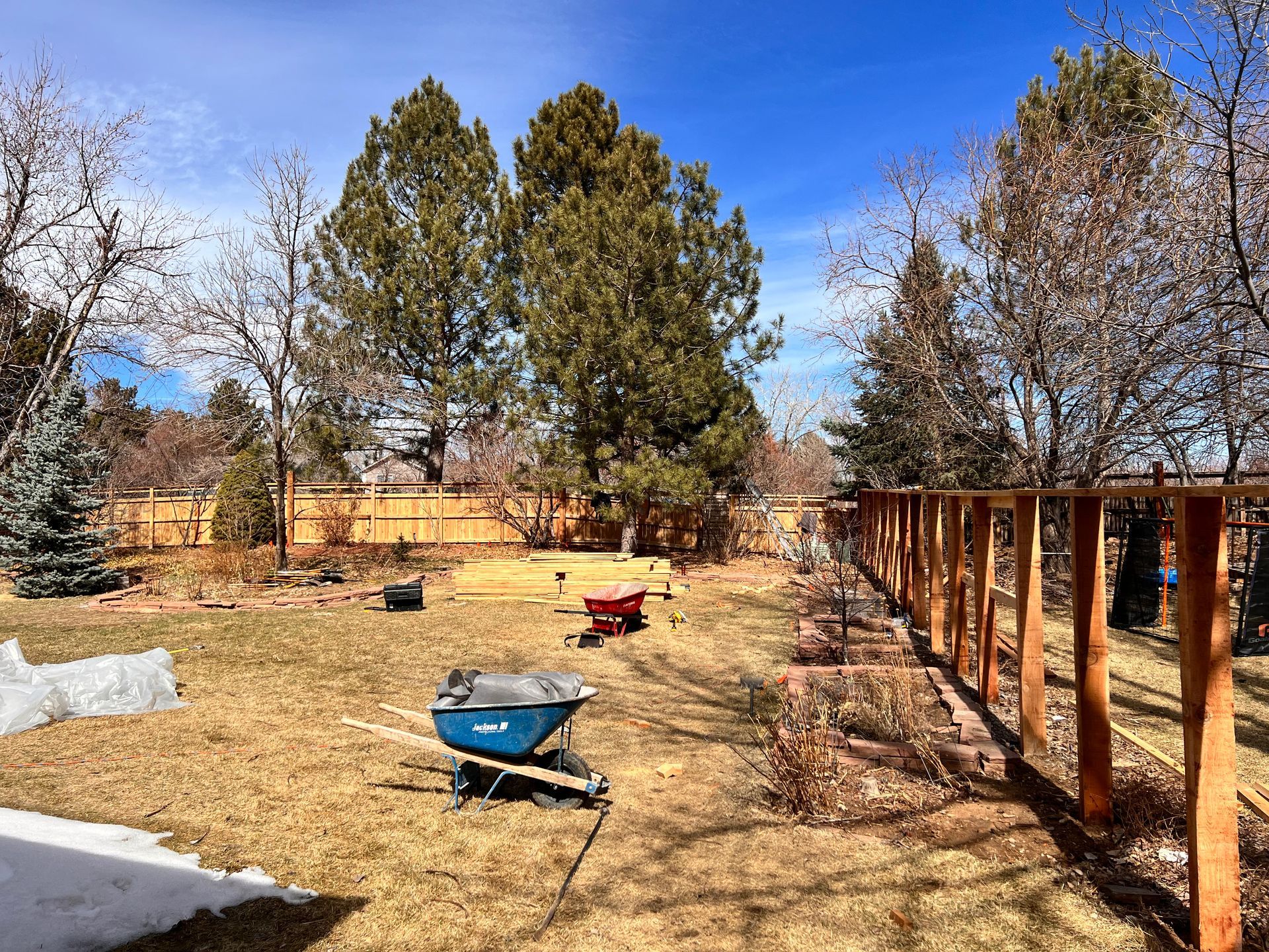 Backyard scene: a brown fence, wheelbarrows, sparse grass, trees, and patches of snow under a blue sky.