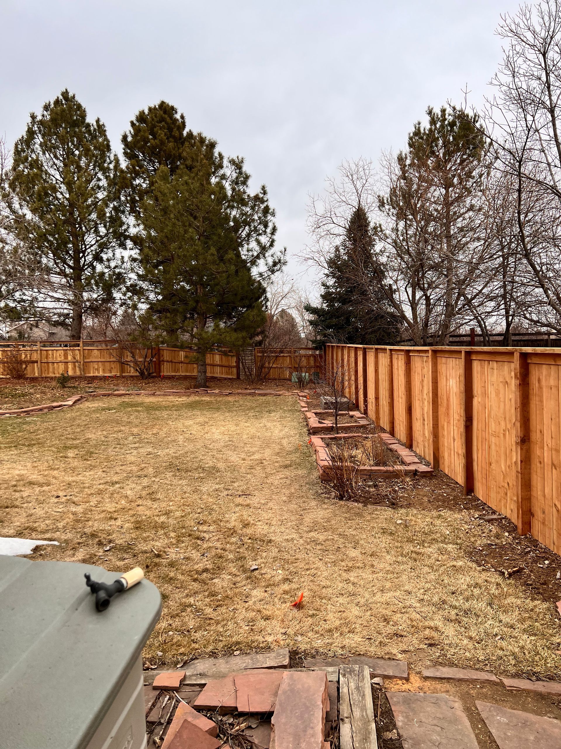 Backyard with brown grass, wooden fence, trees, and cloudy sky.