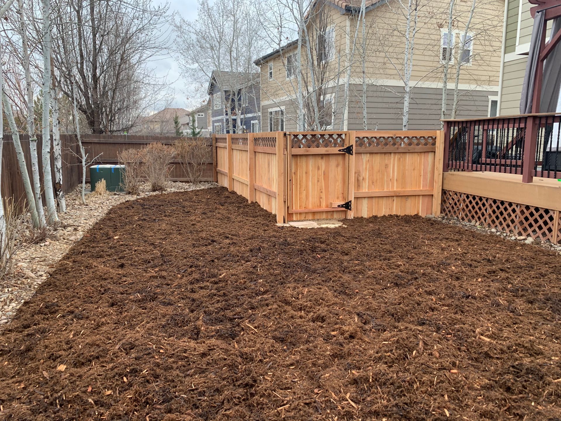 A backyard covered in brown mulch, wooden fence and gate, with a house in the background.