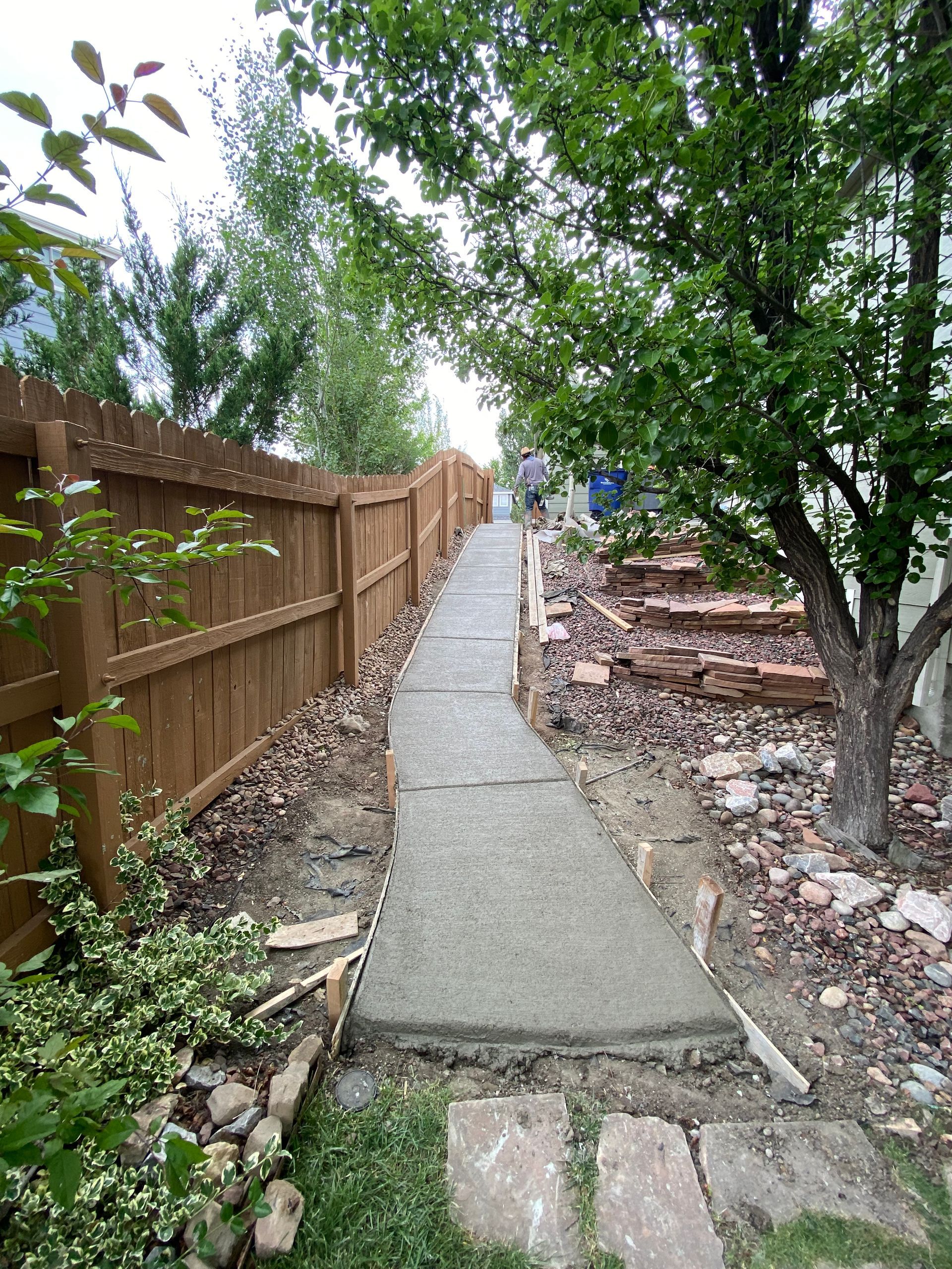 Concrete pathway between a wooden fence and a tree, with greenery on either side.