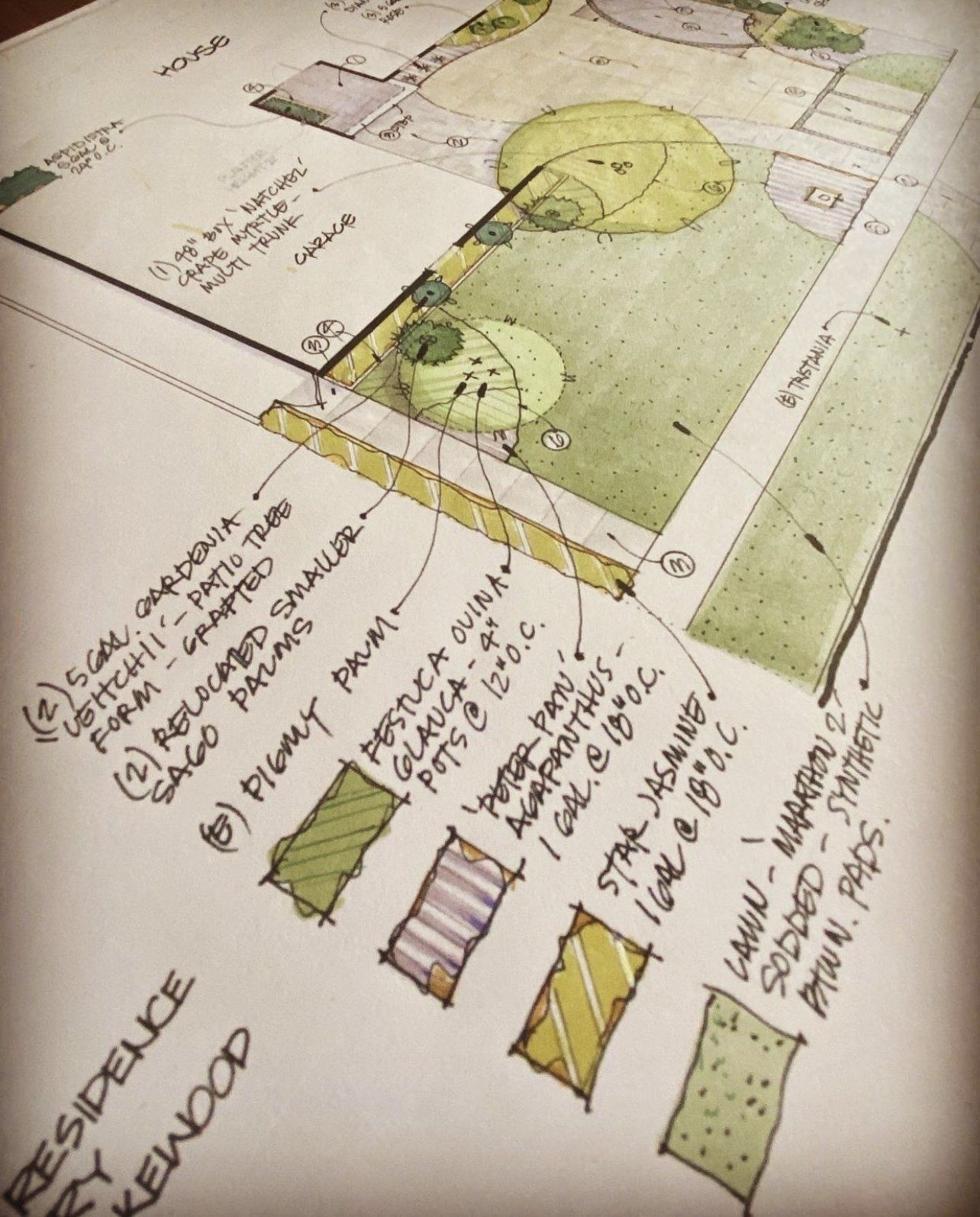Hand-drawn landscape design plan, colored with markers, showing plants, paths, and annotations.