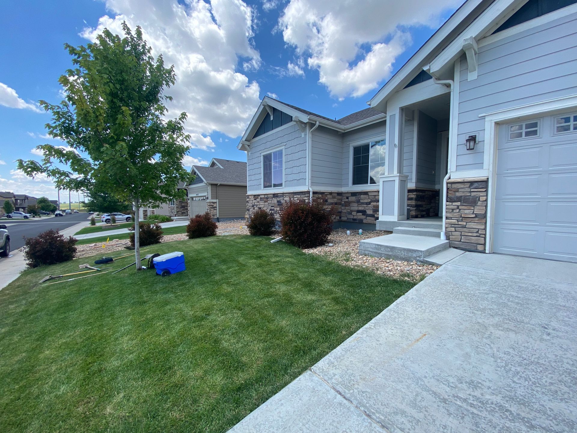 Suburban home with blue sky, green lawn, red bushes, and a blue cooler in the yard.