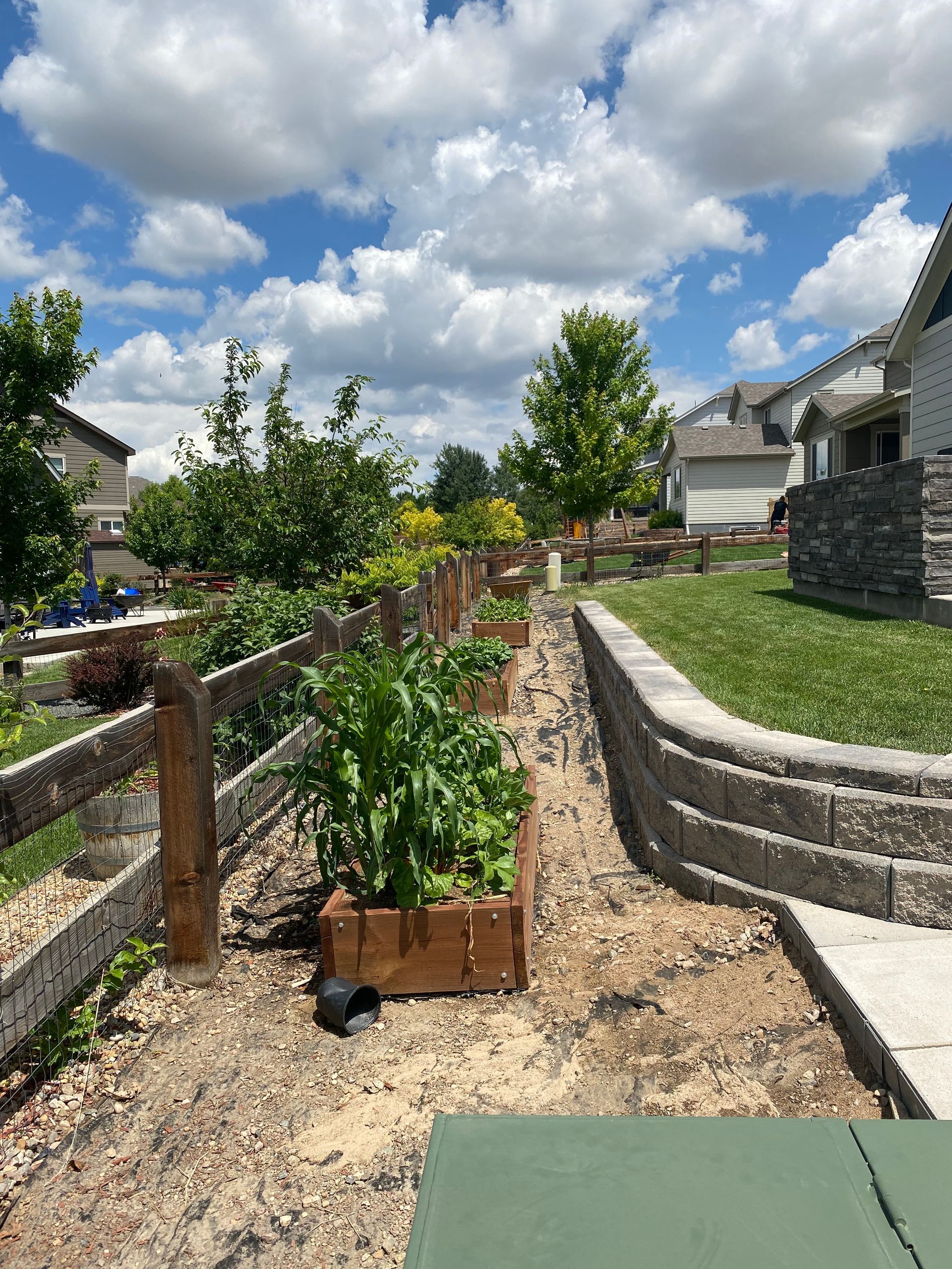 Raised garden beds with plants, a wooden fence, and a retaining wall in a suburban backyard under a cloudy sky.