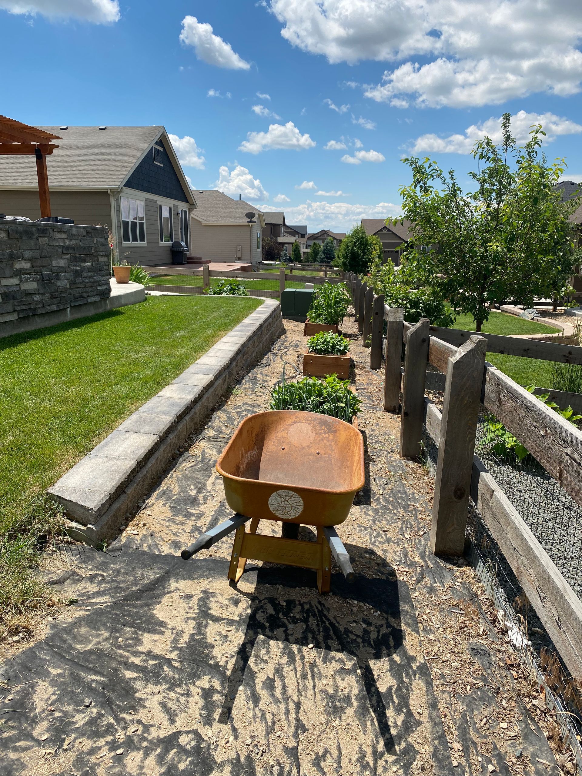 A yellow wheelbarrow on a path in a garden, with a stone wall and fence, sunny day.