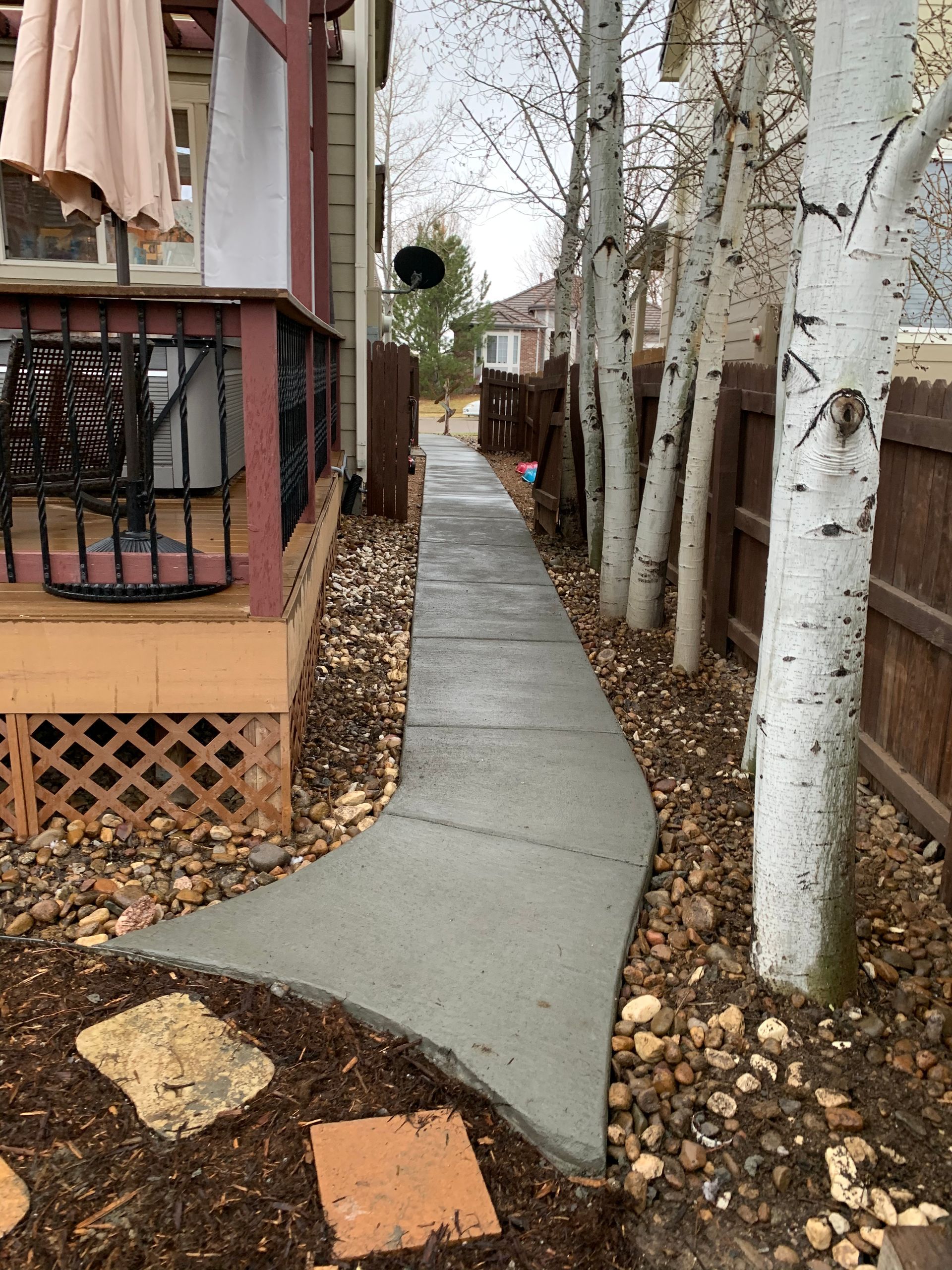 Concrete sidewalk winds between a house porch and a wooden fence with birch trees, outdoors.