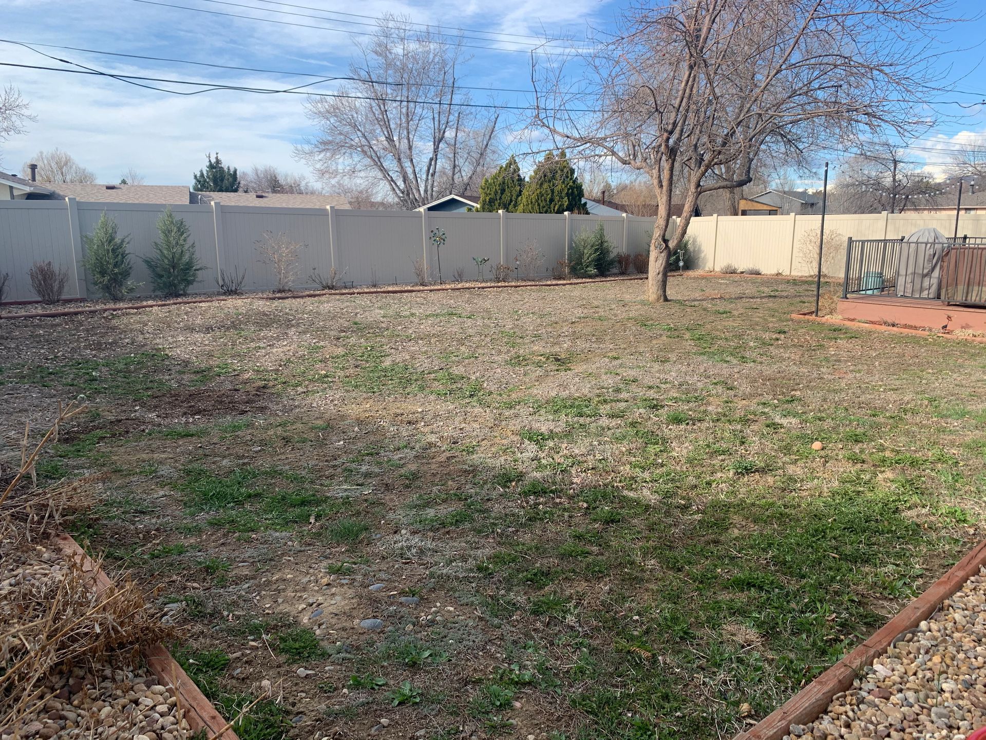 A backyard with sparse grass, a bare tree, and a white fence under a partly cloudy sky.