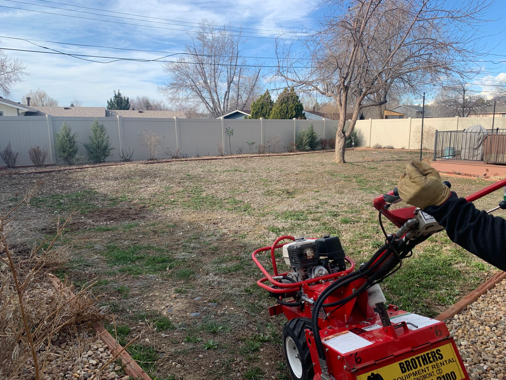 Person operating a red sod cutter in a backyard with a fence and bare trees.