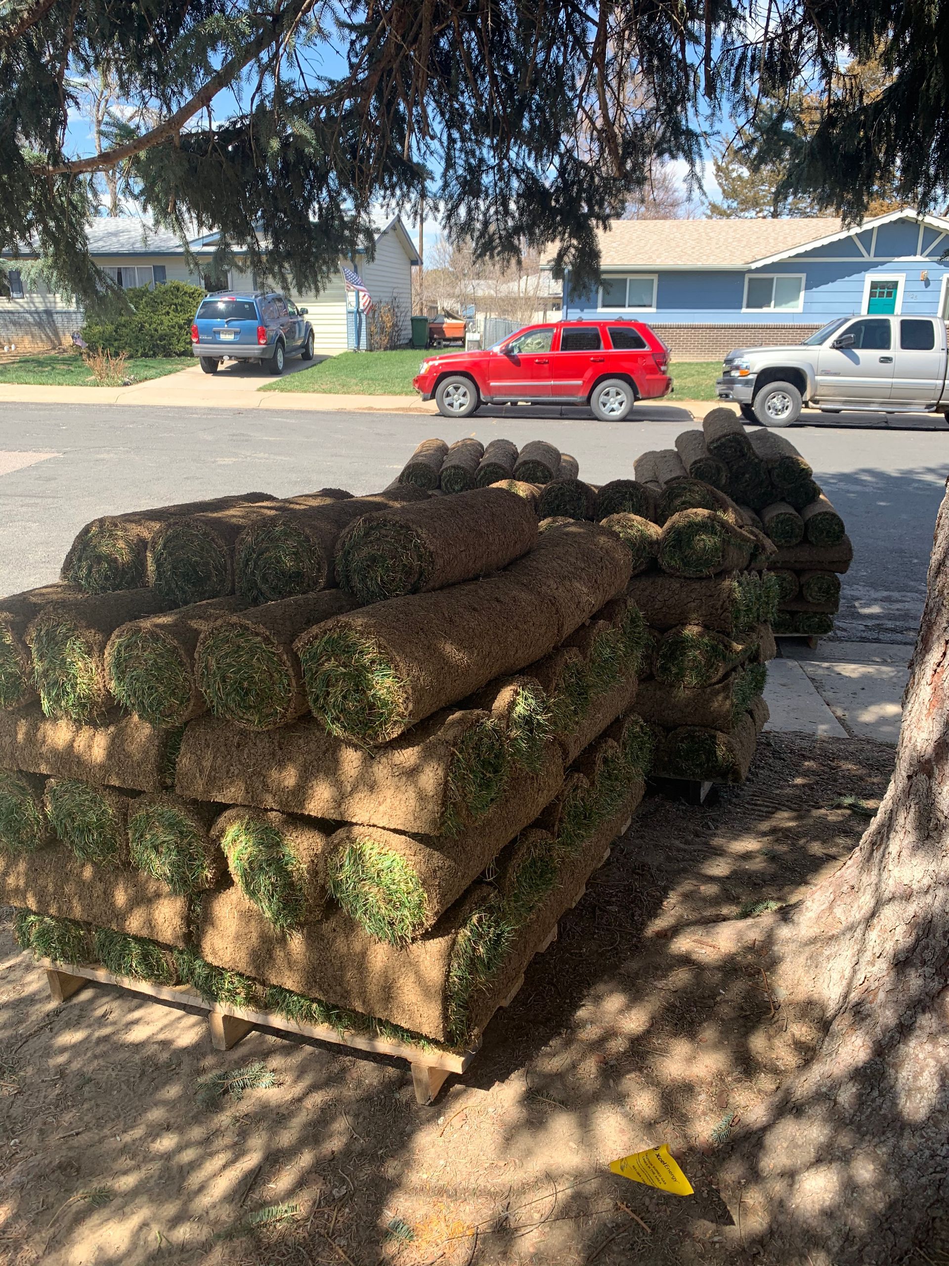Stacks of fresh sod rolls on a pallet on a residential street; red SUV and blue house in the background.
