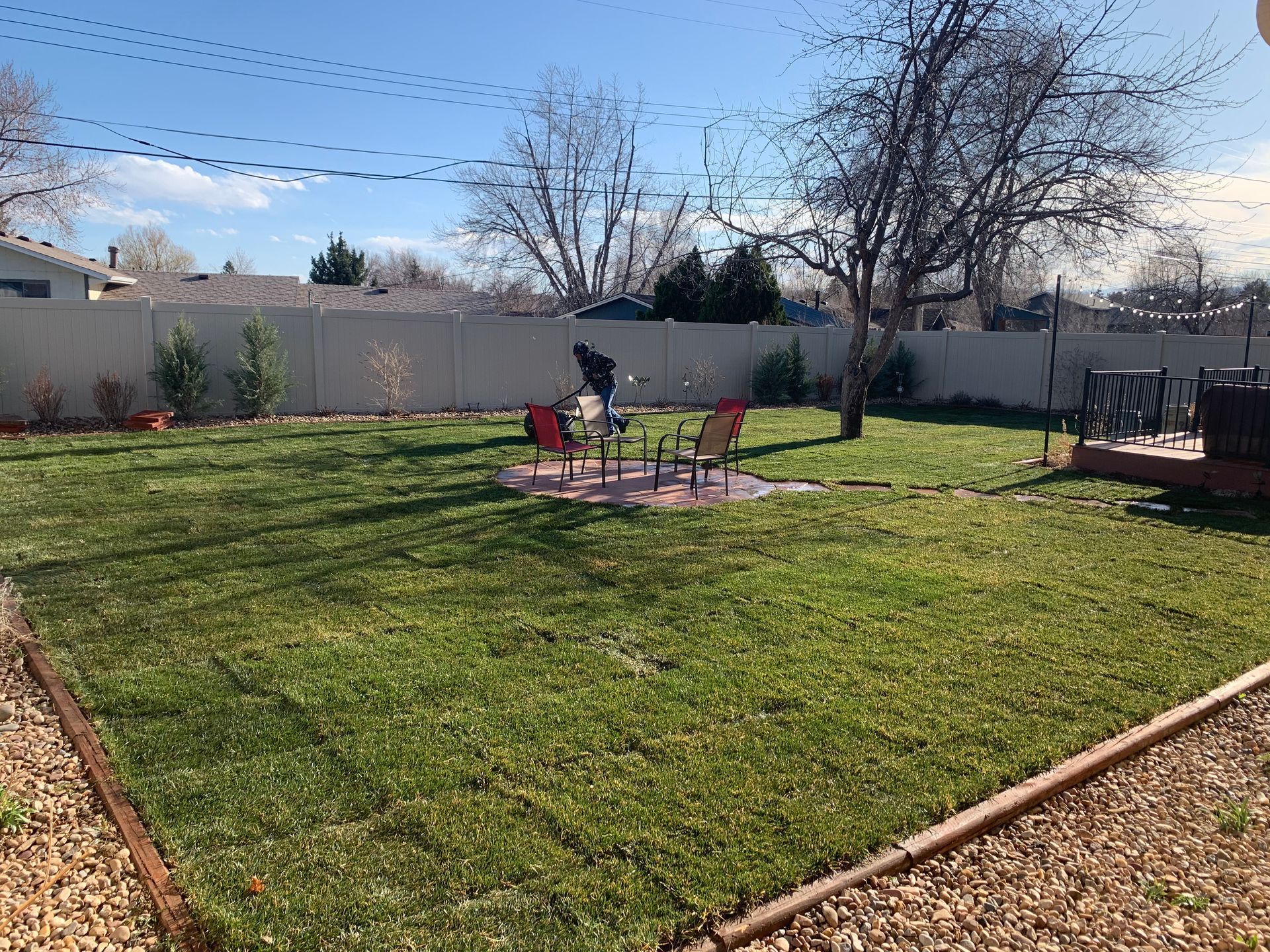 Lush green backyard with a seating area, trees, and a tall fence under a blue sky.