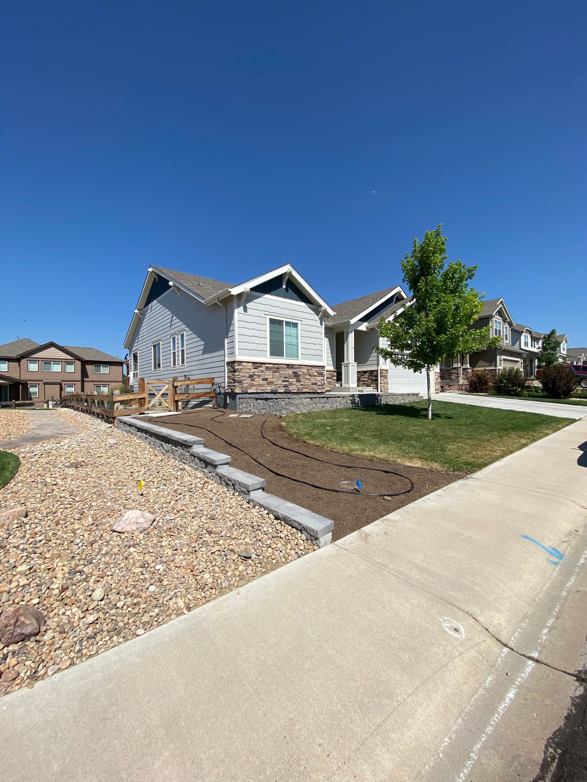 A light blue house with a gray roof and stone accents on a sunny day. A small tree sits in the yard.