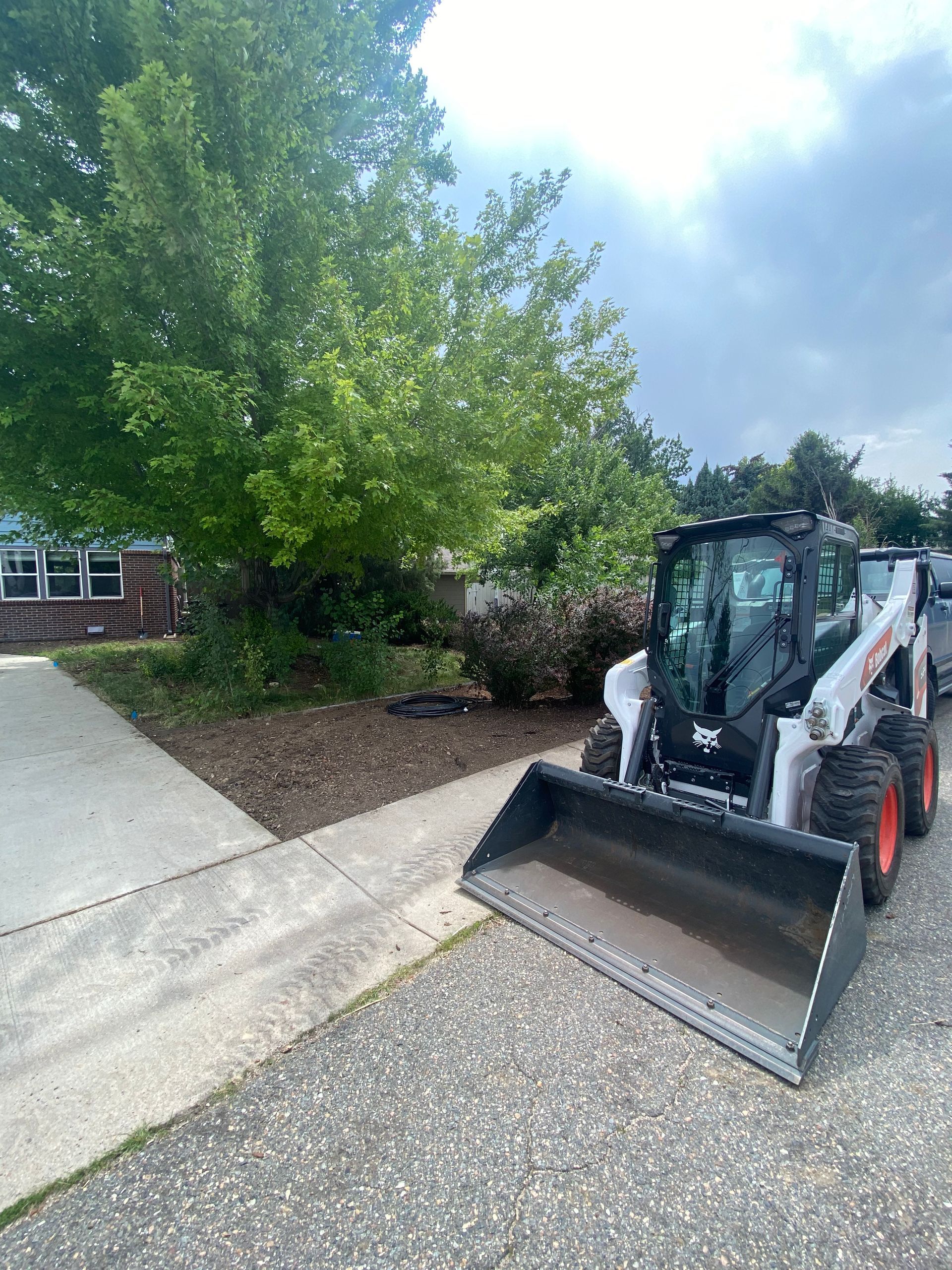 lawn yard cleanup