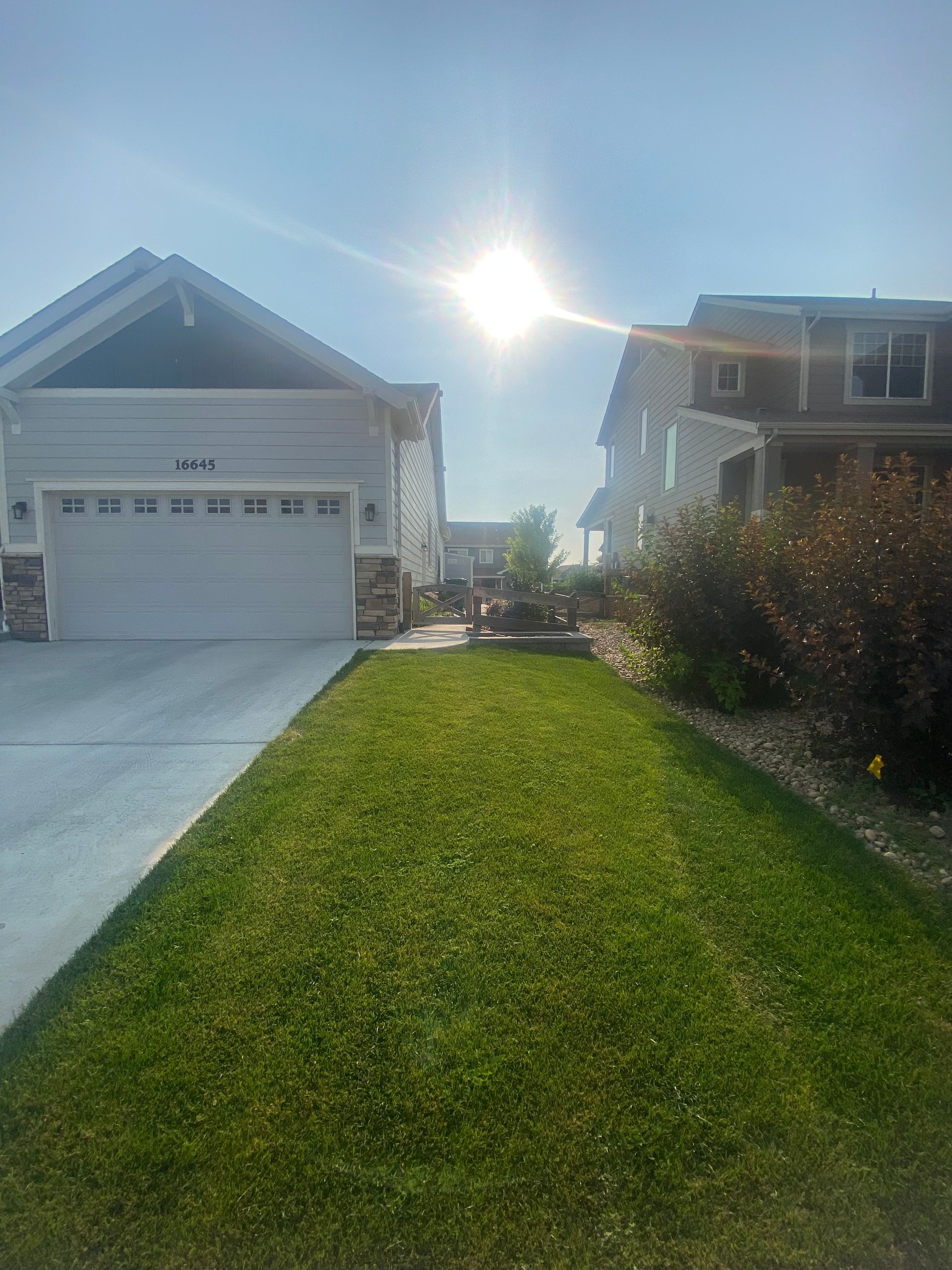 Lush green lawn and driveways, bright sun, two-story homes in a neighborhood.
