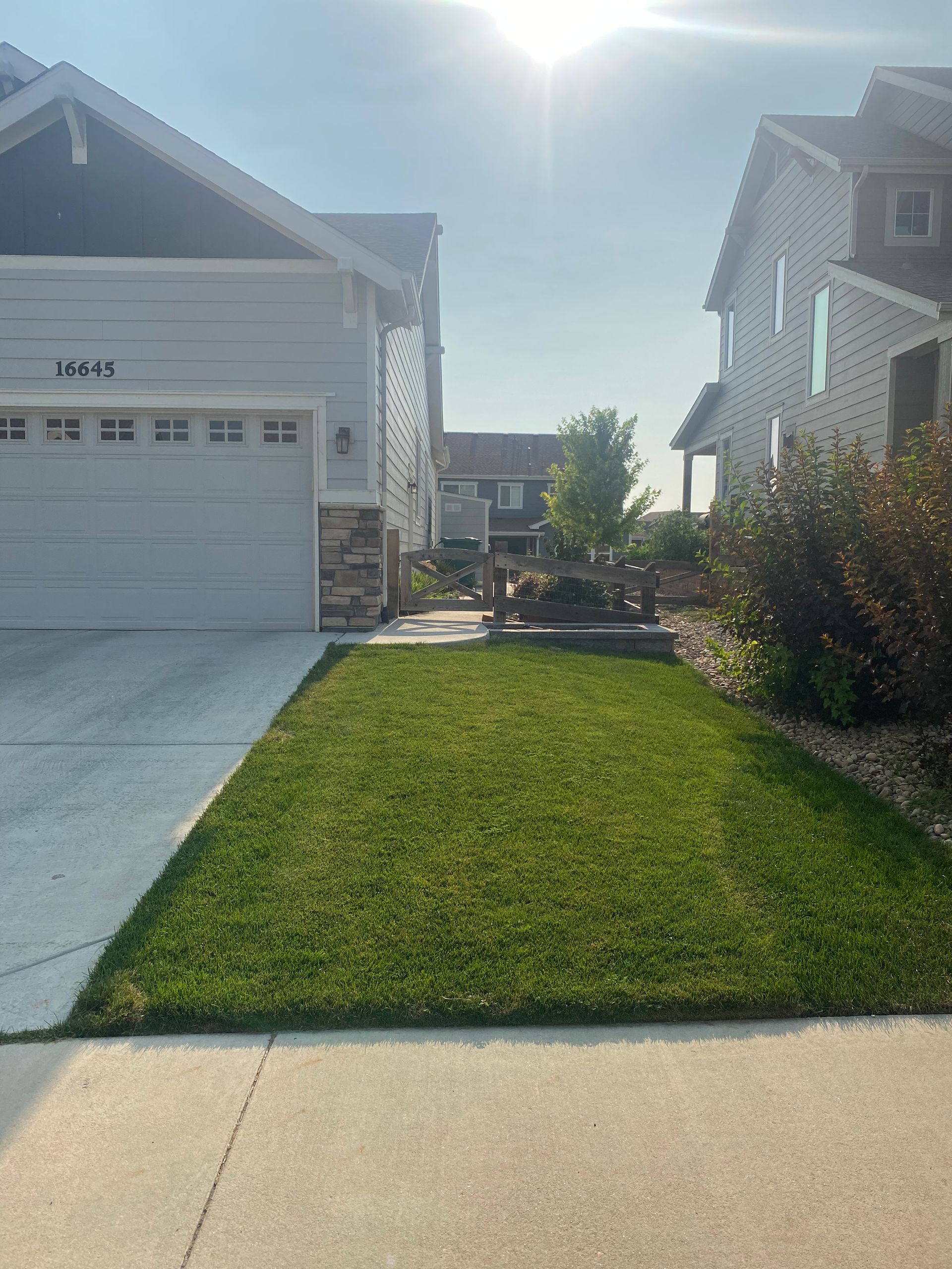 Green lawn leads to houses on a sunny day. Driveway, sunlight glare, and landscaping are visible.