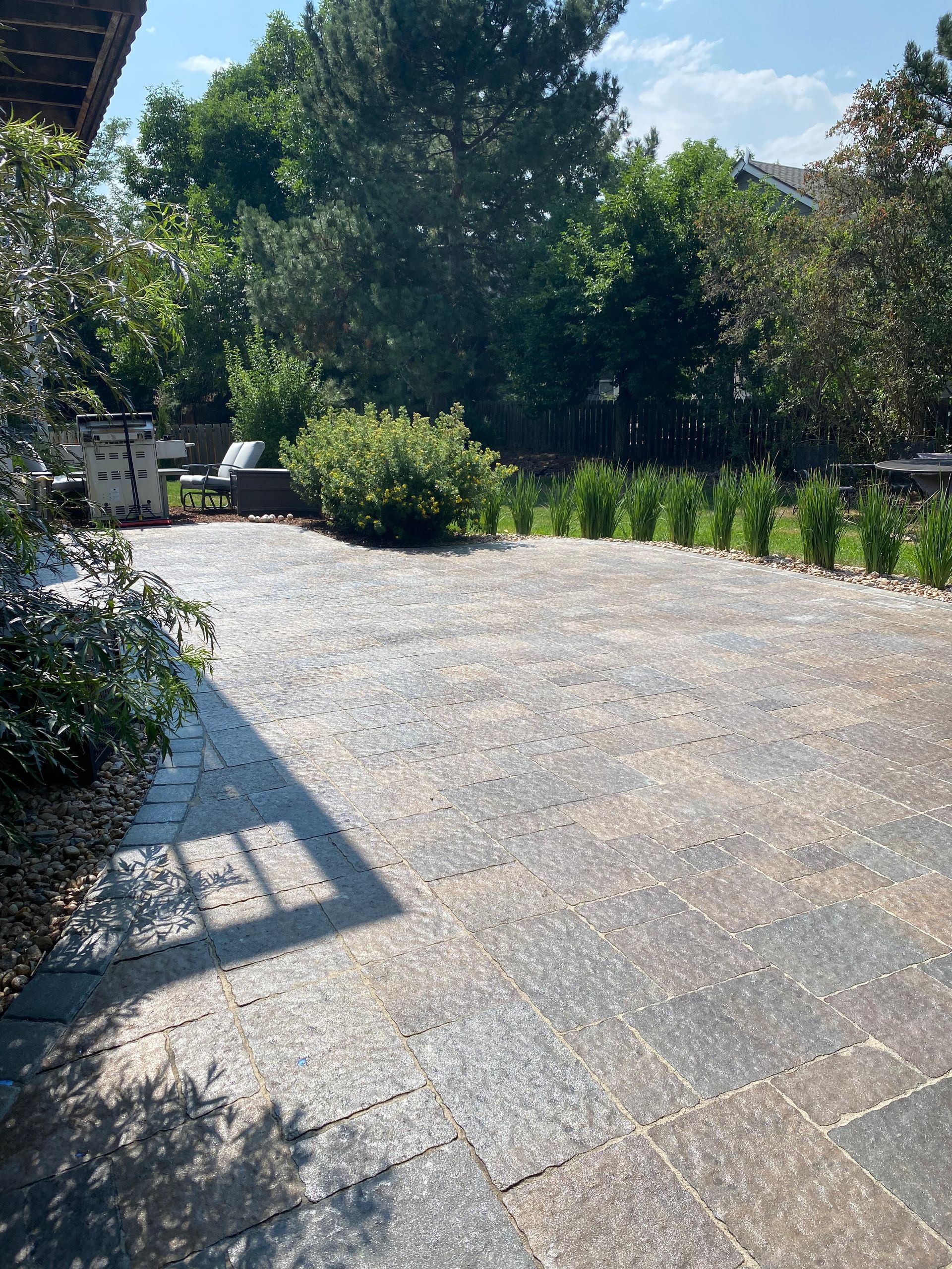 A paved patio with low hedges, a large bush, and trees on a sunny day.