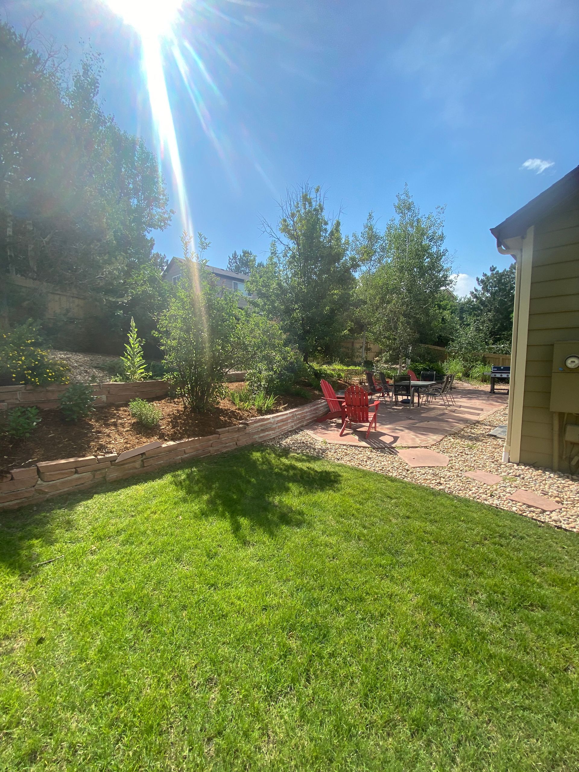 Sunny backyard with green grass, trees, a stone patio, and red chairs.