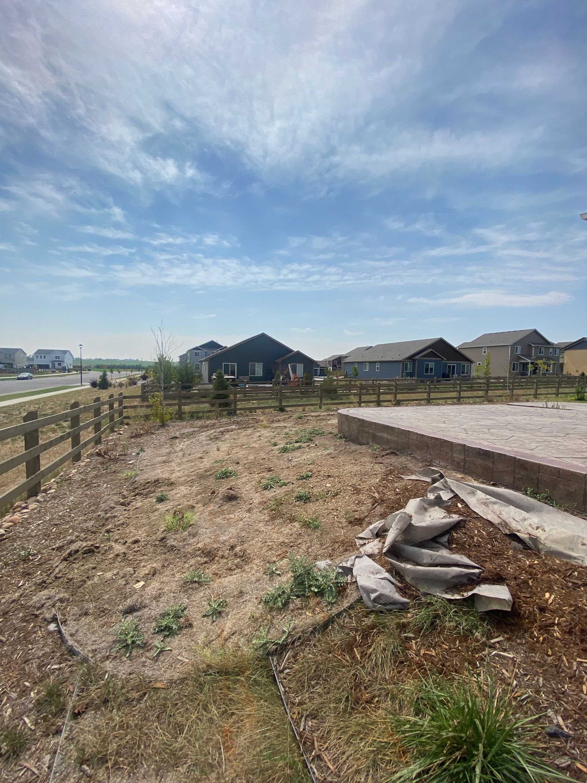 Dirt yard with small plants, wooden fence, houses in background, blue sky.