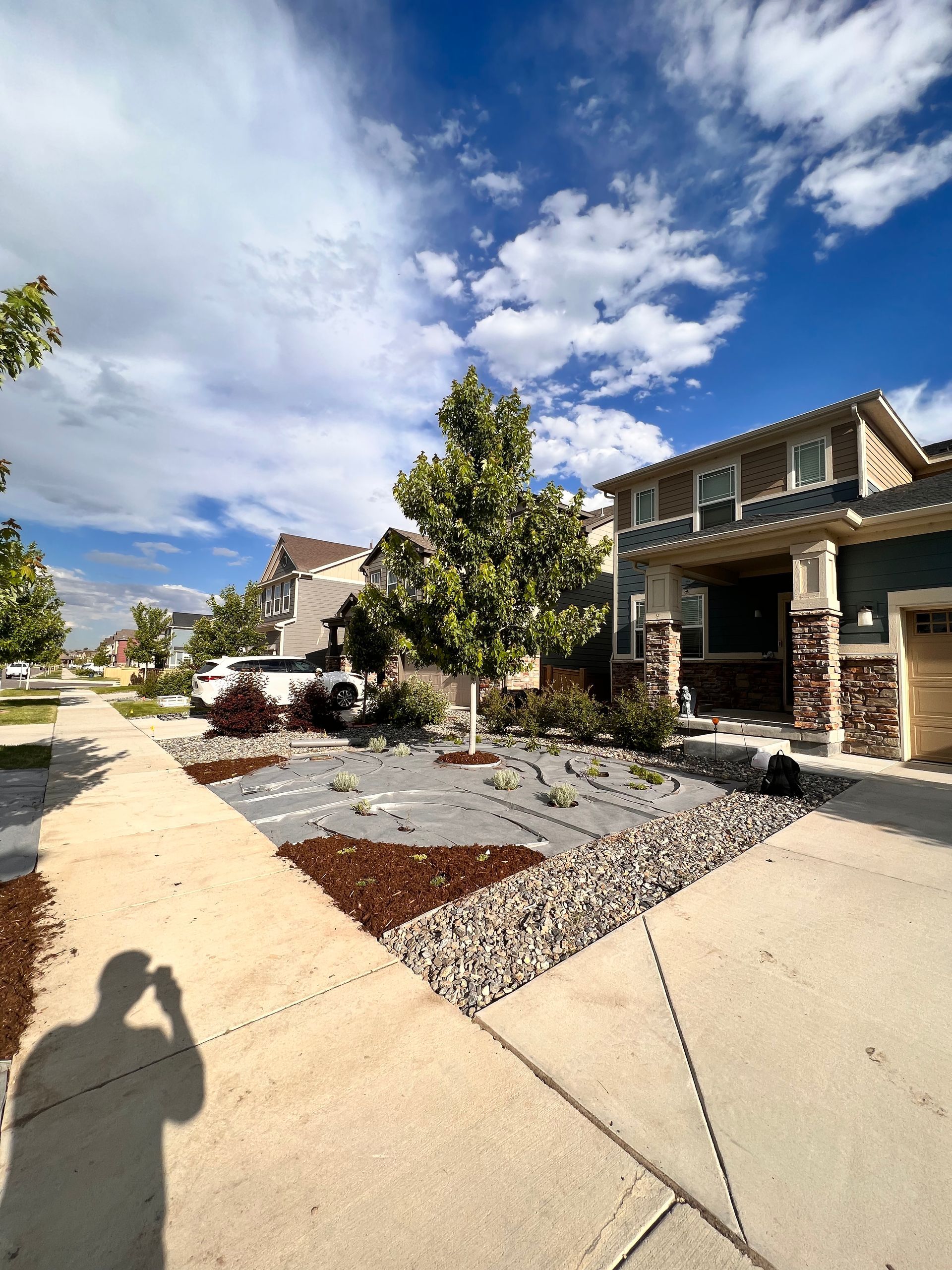 Suburban street scene with homes, sidewalk, and a young tree in a landscaped yard under a blue sky with clouds.